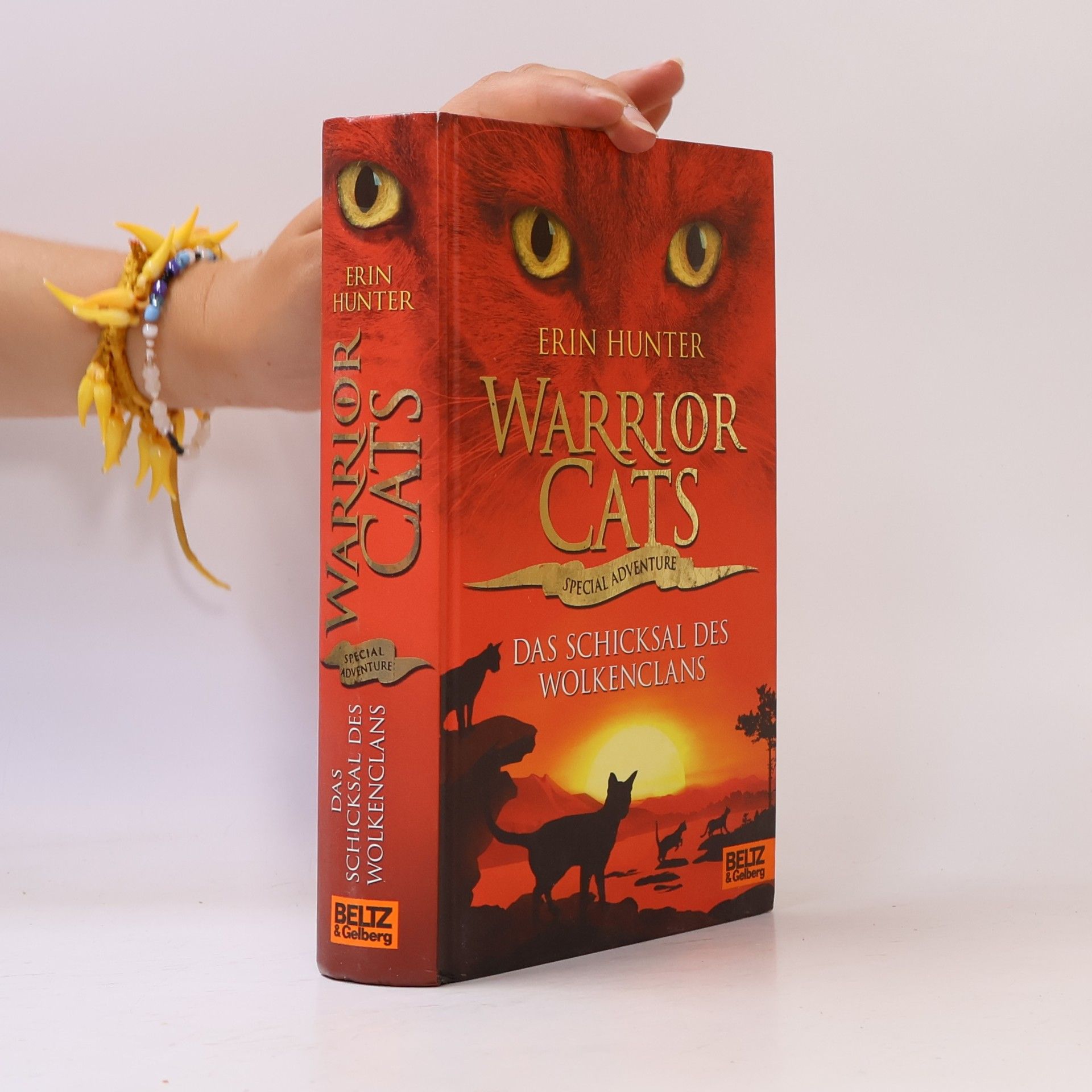 Erin Hunter Warrior Cats: Das Schicksal des WolkenClans