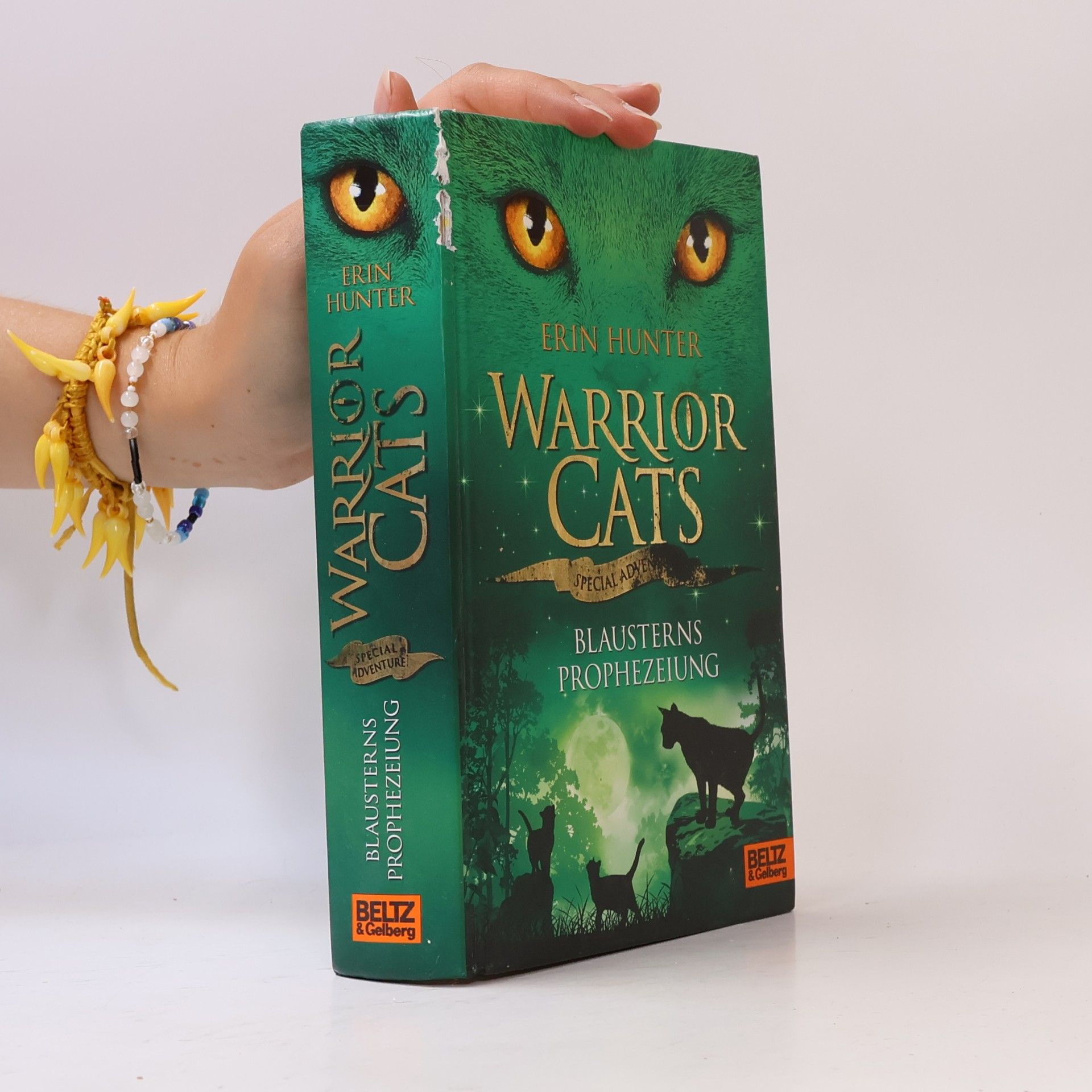Erin Hunter Warrior cats. Special Adventure