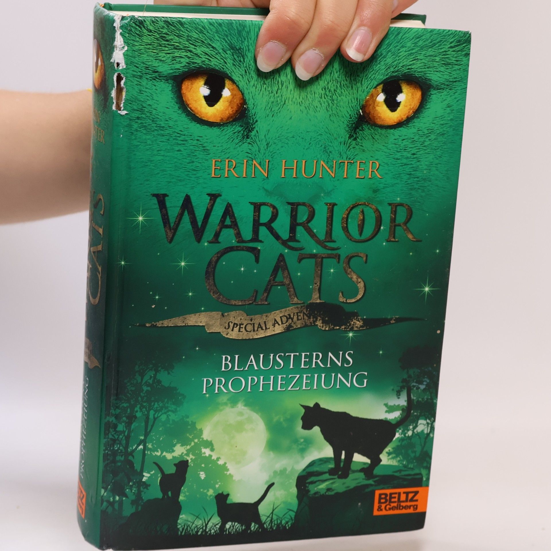 Erin Hunter Warrior cats. Special Adventure
