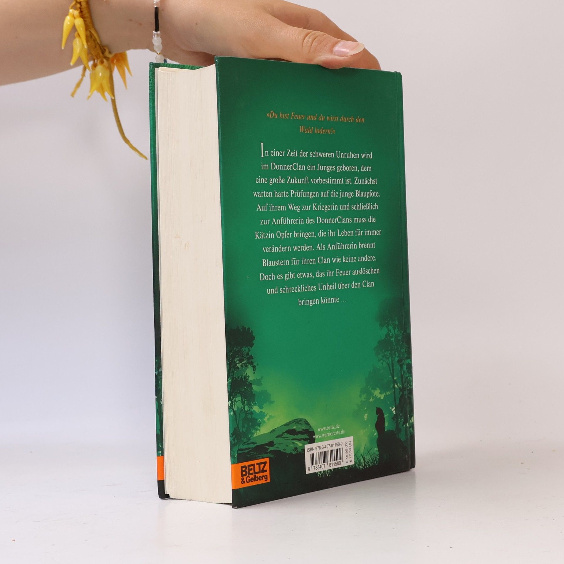 Erin Hunter Warrior cats. Special Adventure