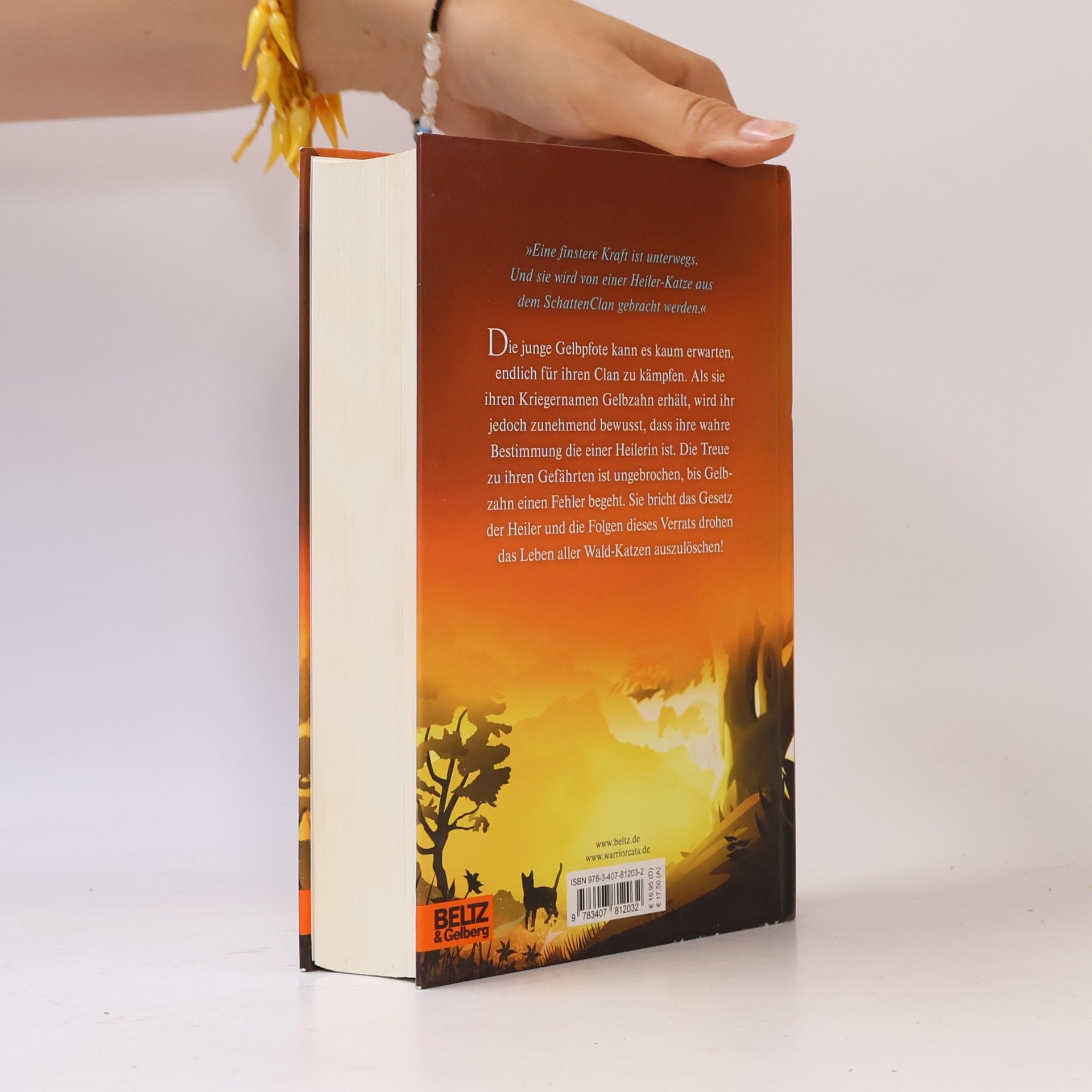 Erin Hunter Gelbzahns Geheimnis