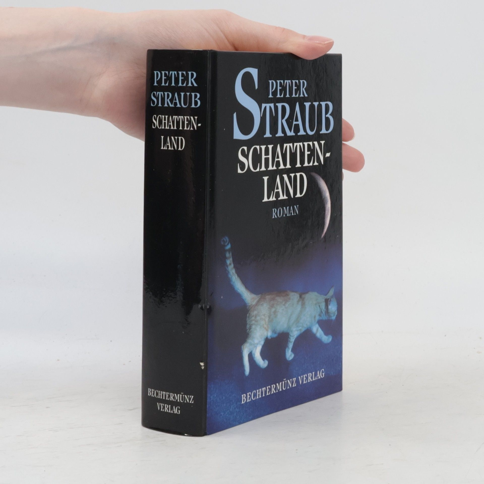 Peter Straub Schattenland