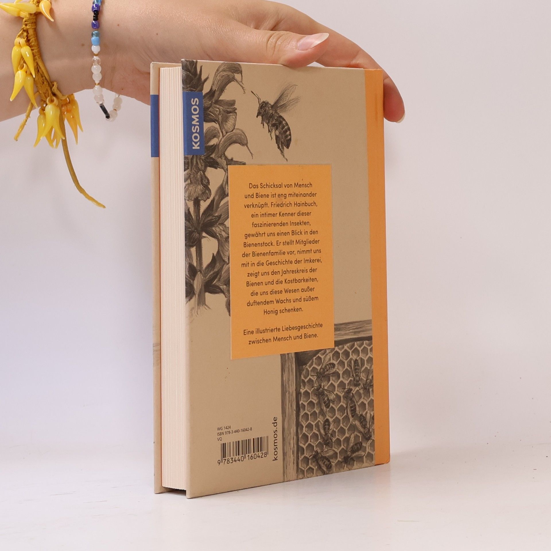 Friedrich Hainbuch Bienen. Was Mensch und Niene einander bedeuten