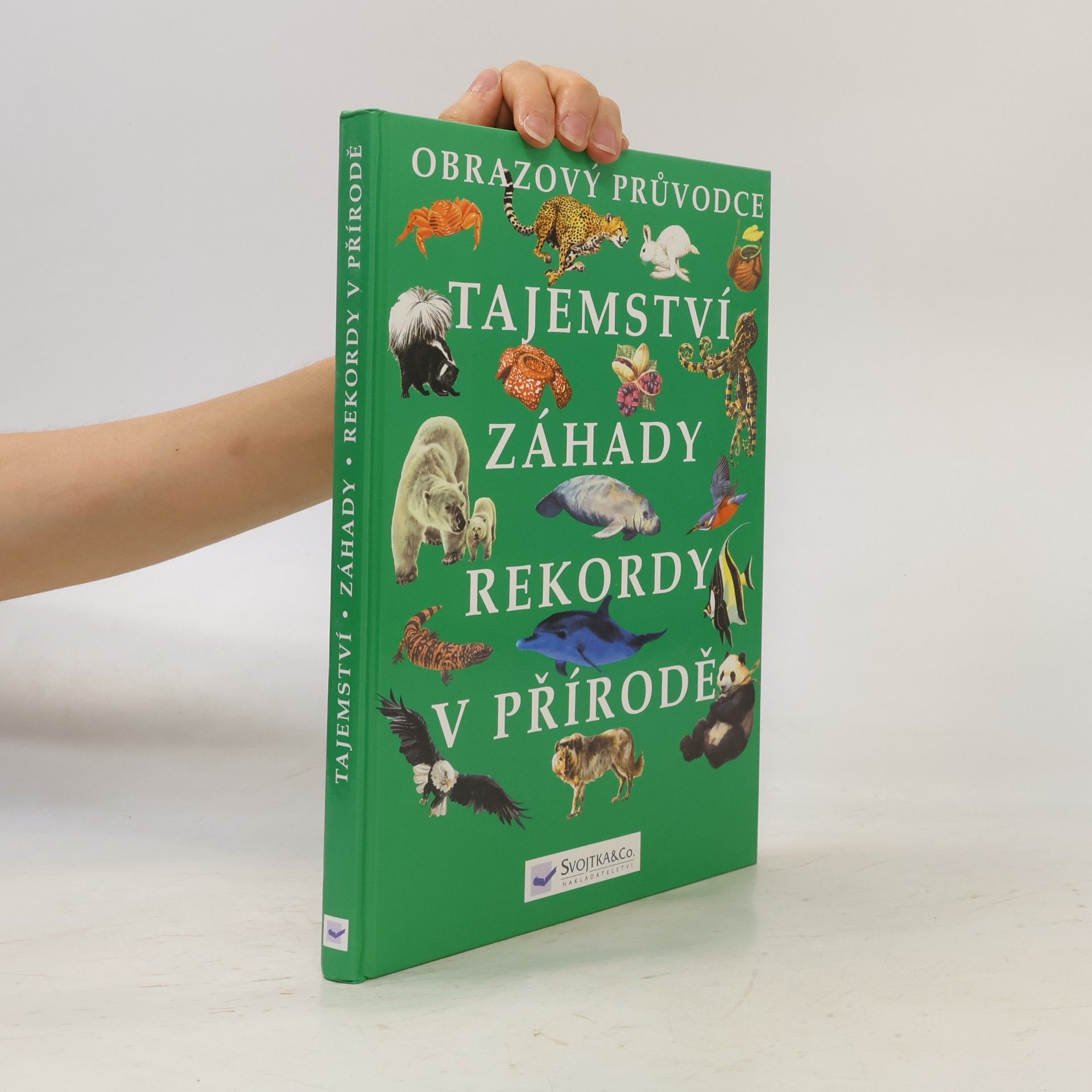 Autorenkollektiv Tajemství, záhady, rekordy v přírodě