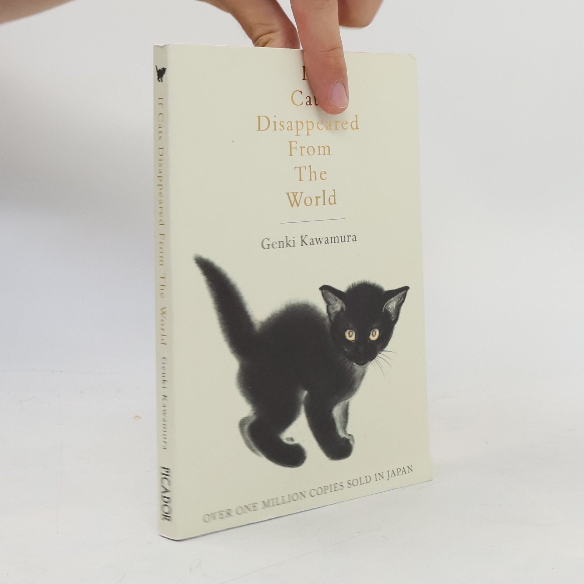 Genki Kawamura If Cats Disappeared from the World