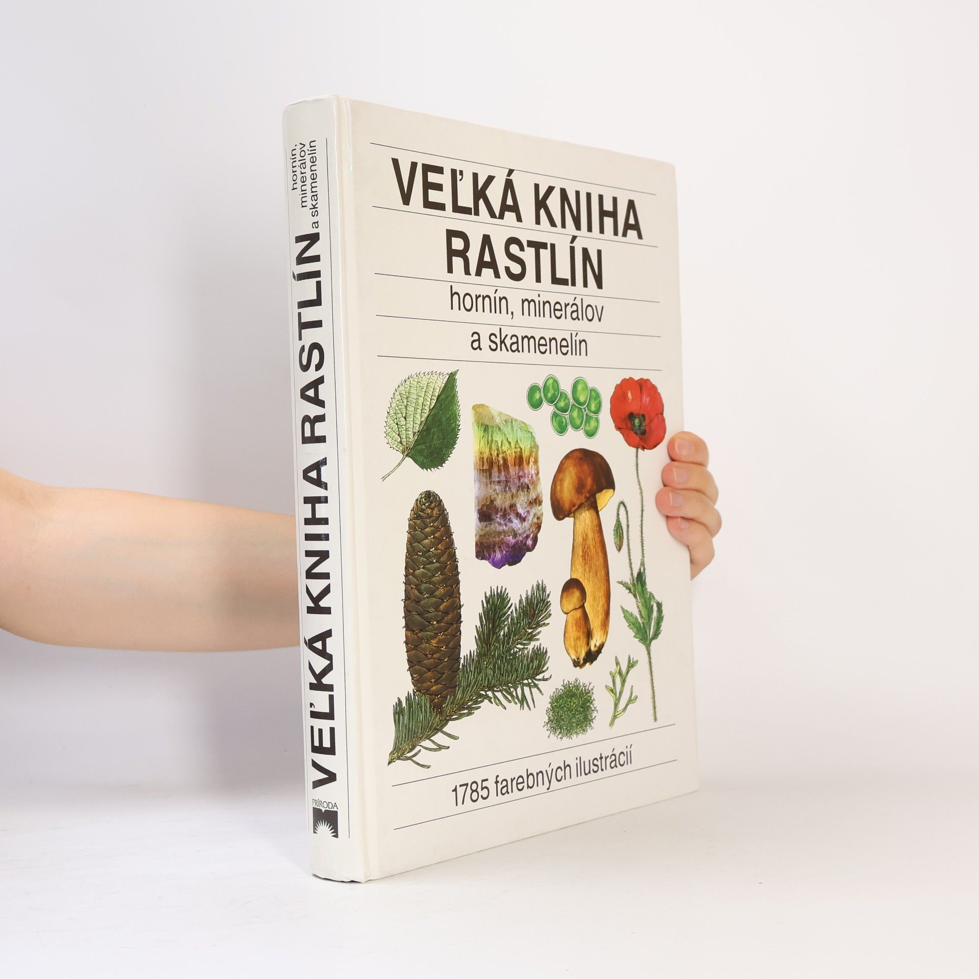 Autorenkollektiv Veĺká kniha rastlín