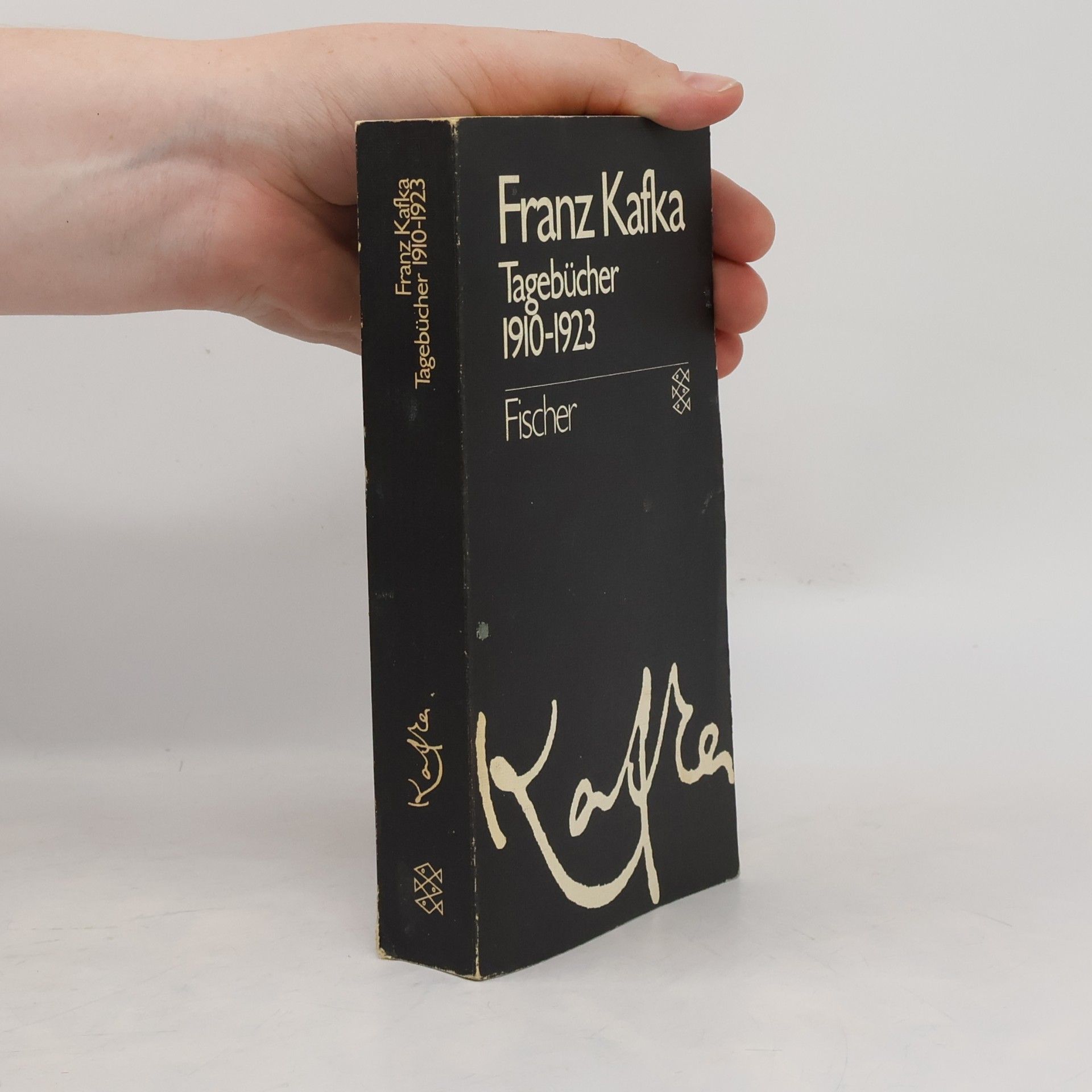 Franz Kafka Tagebücher 1910-1923