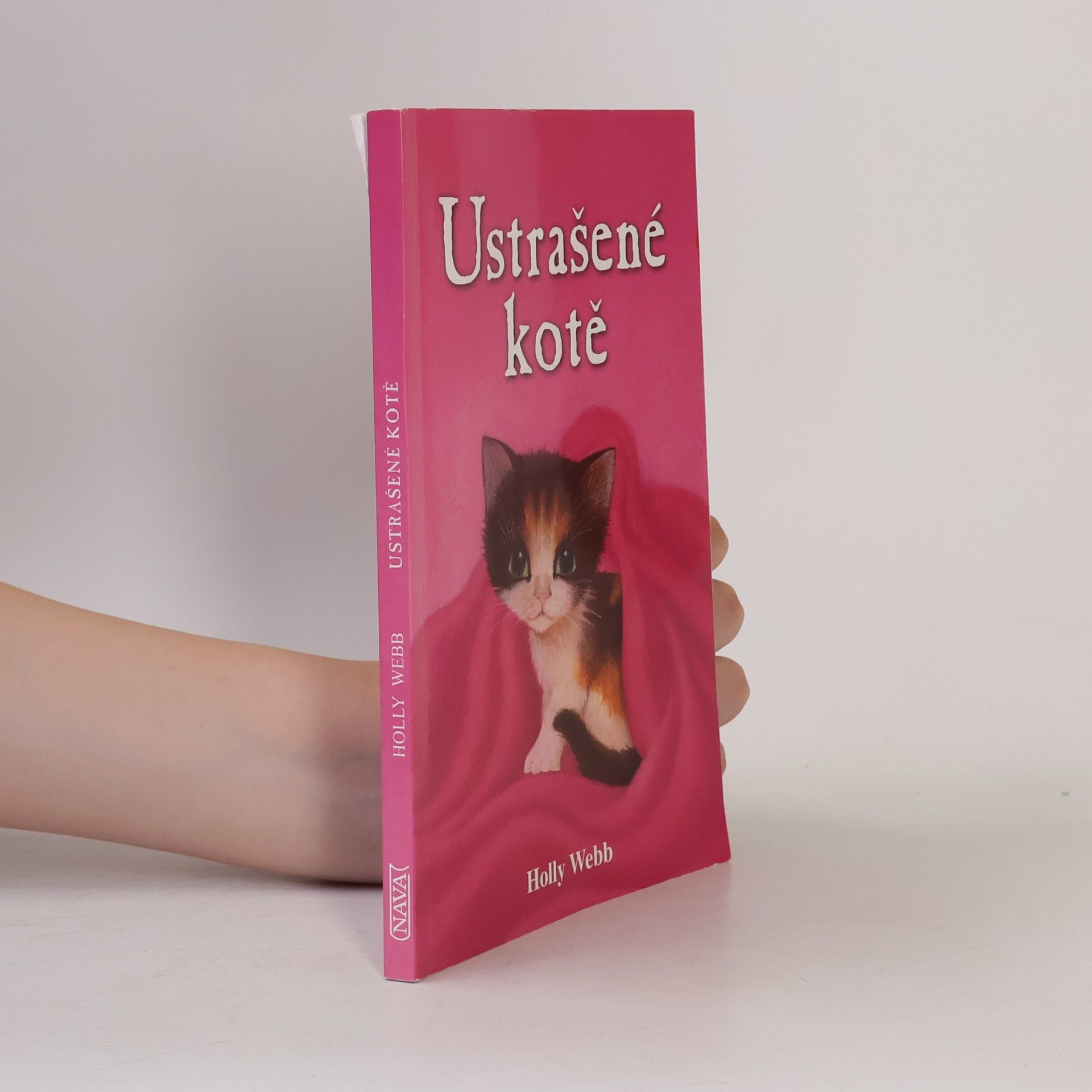 Holly Webb Ustrašené kotě