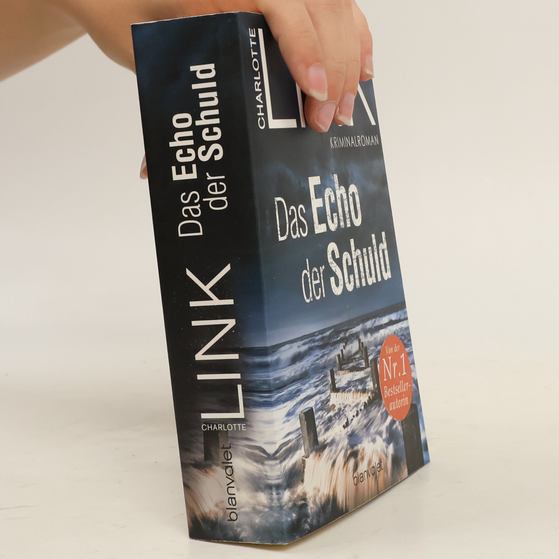 Charlotte Link Das Echo der Schuld