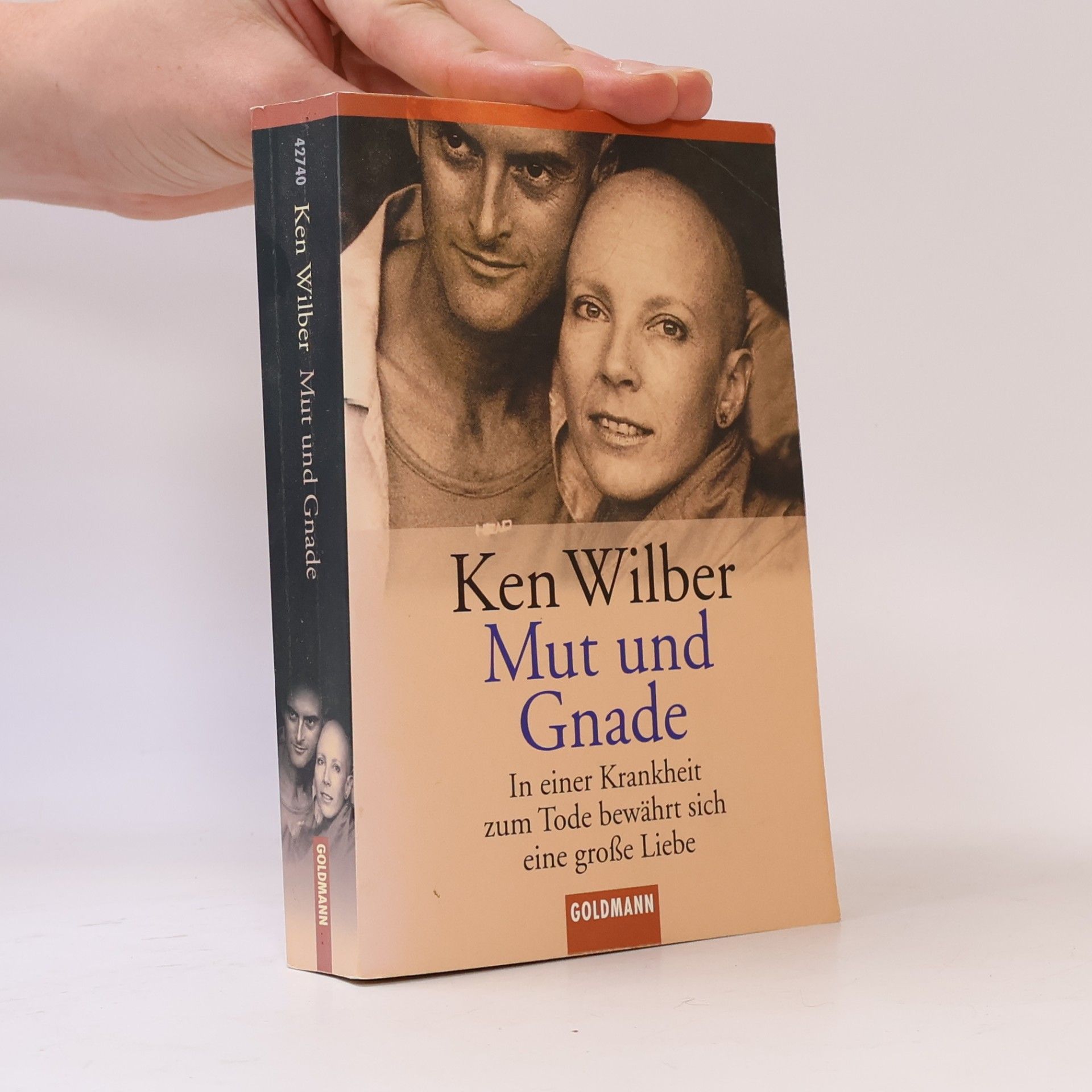 Ken Wilber Mut Und Gnade