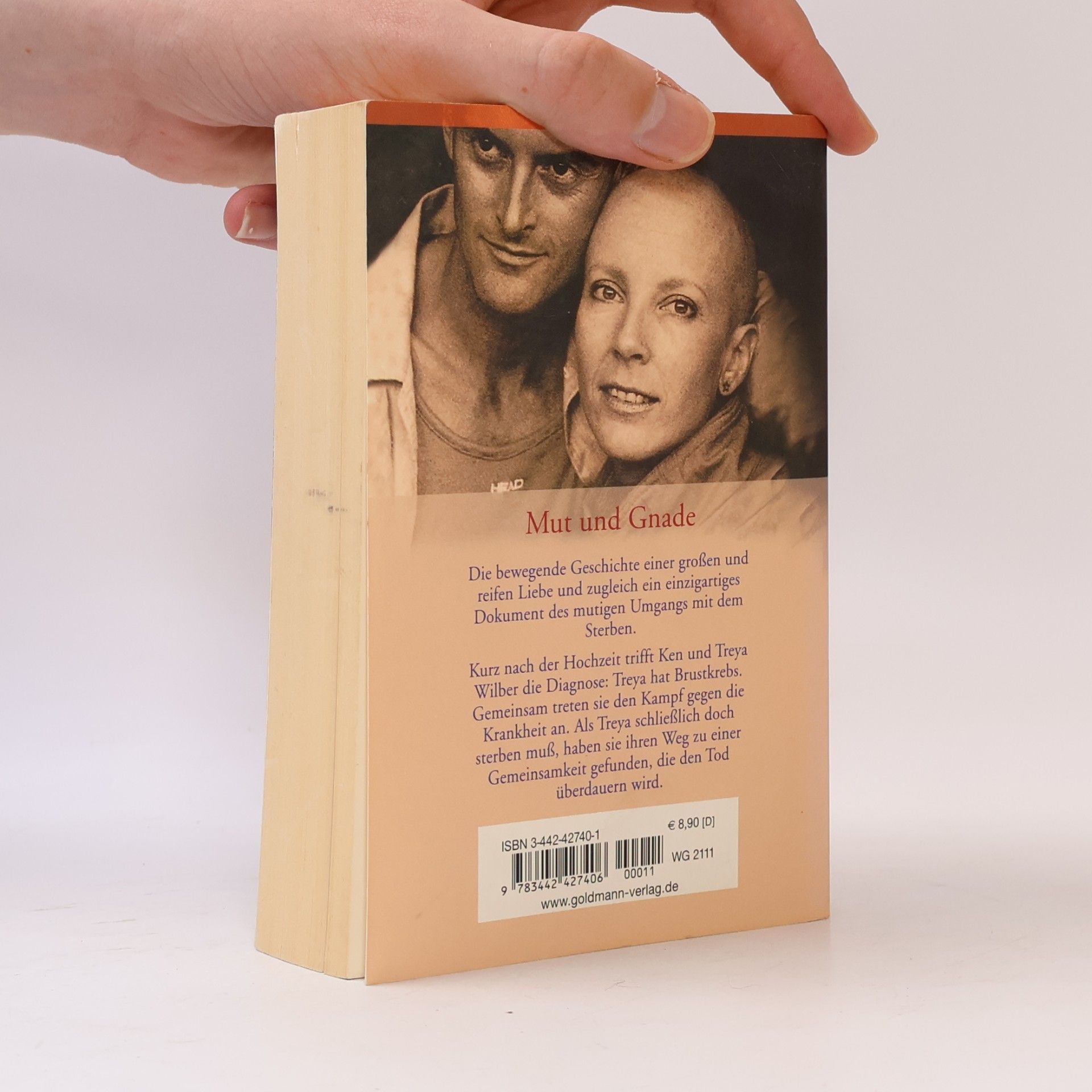 Ken Wilber Mut Und Gnade