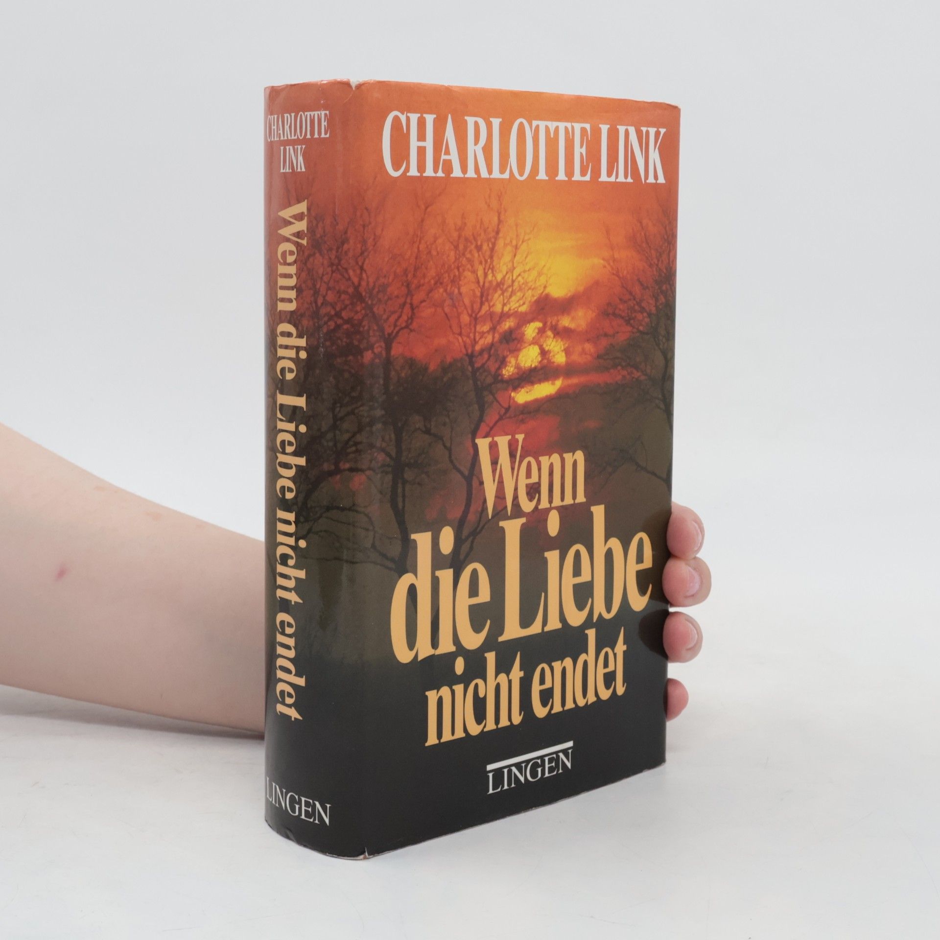 Charlotte Link Wenn die Liebe nicht endet