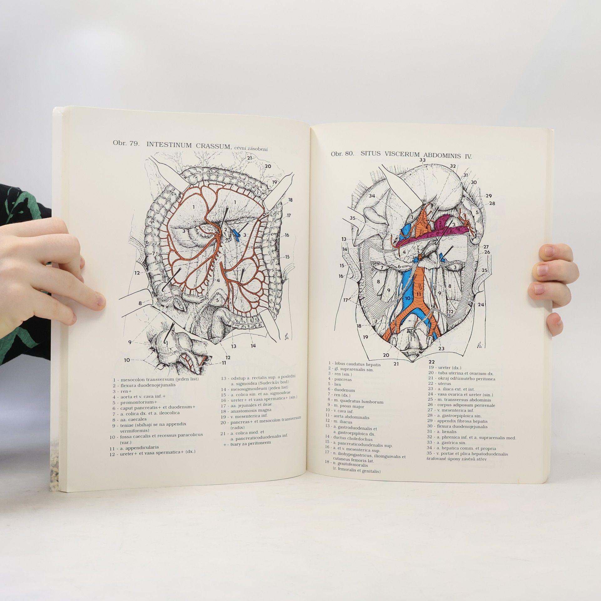 Václav Seichert Malý anatomický atlas