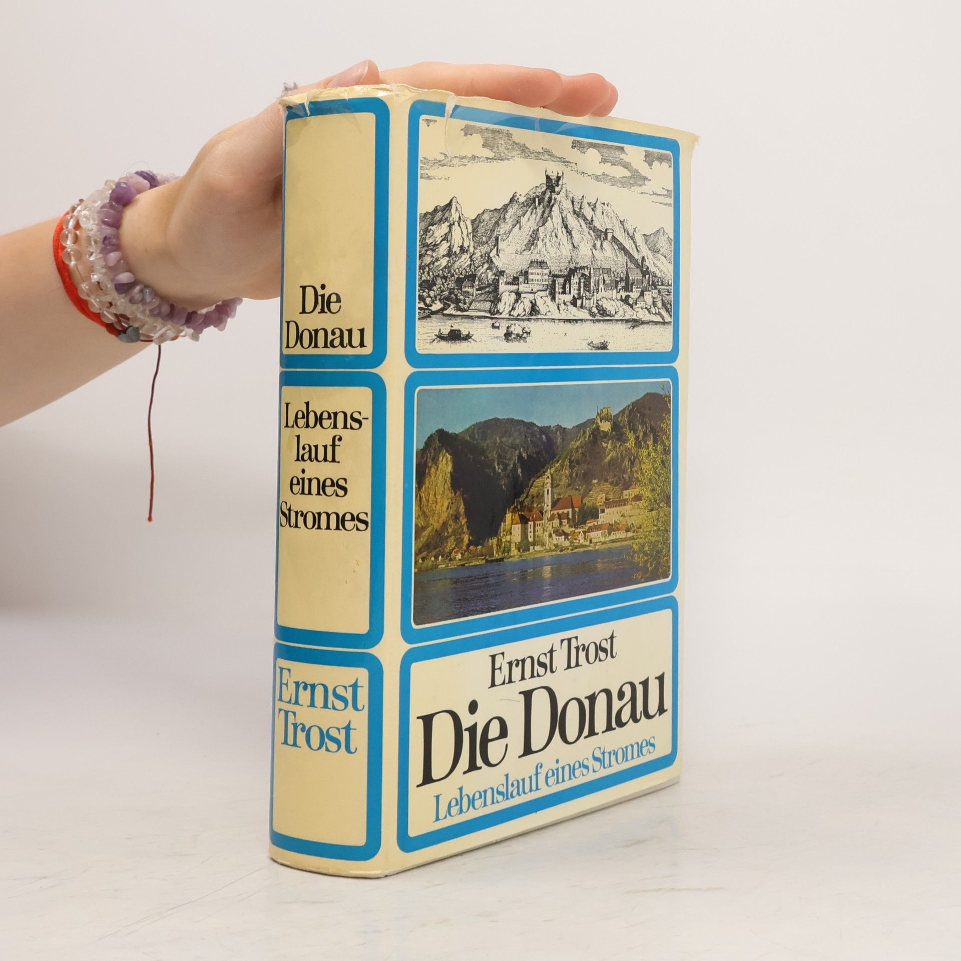 Ernst Trost Die Donau. Lebenslauf eines Stromes