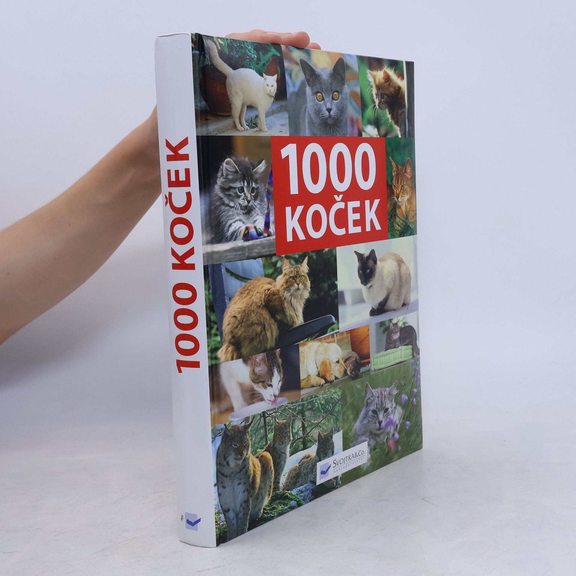AA.VV. 1000 koček