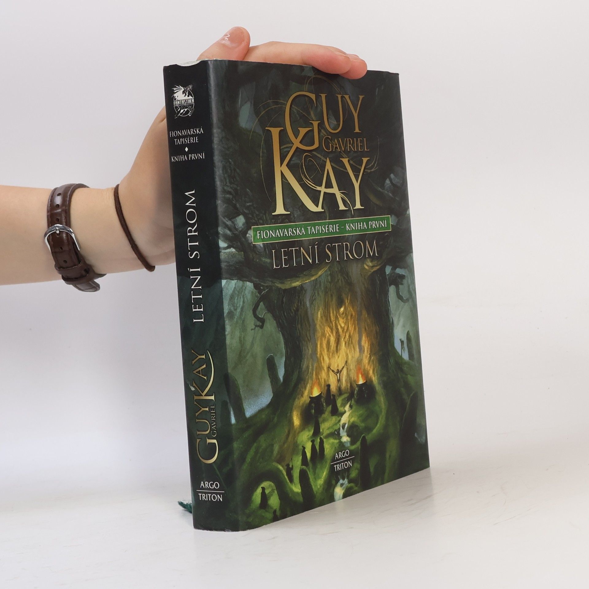 Guy Gavriel Kay Fionavarská tapiserie. Kniha první, Letní strom