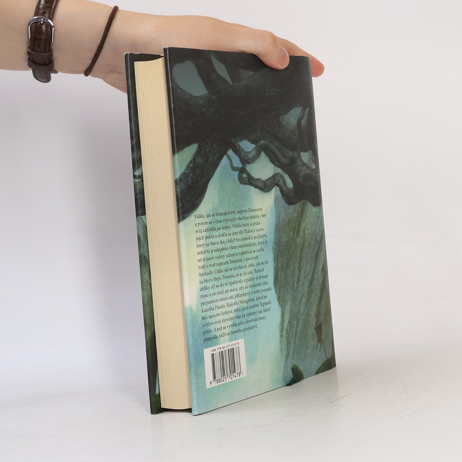 Guy Gavriel Kay Fionavarská tapiserie. Kniha první, Letní strom