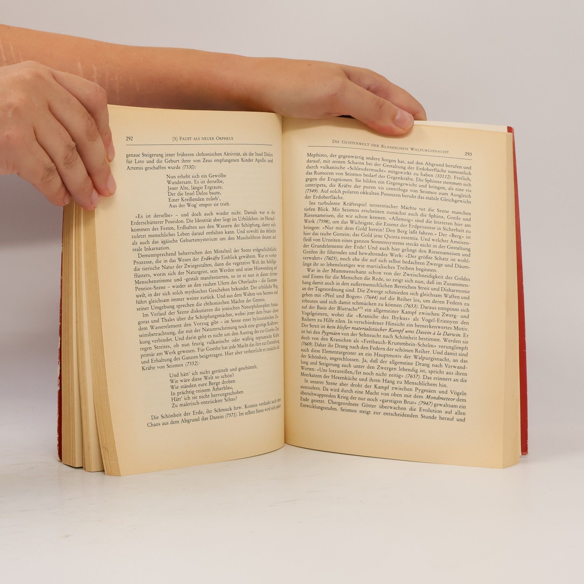 Autores varios Goethes Faust: Das Drama in Doppel Reich