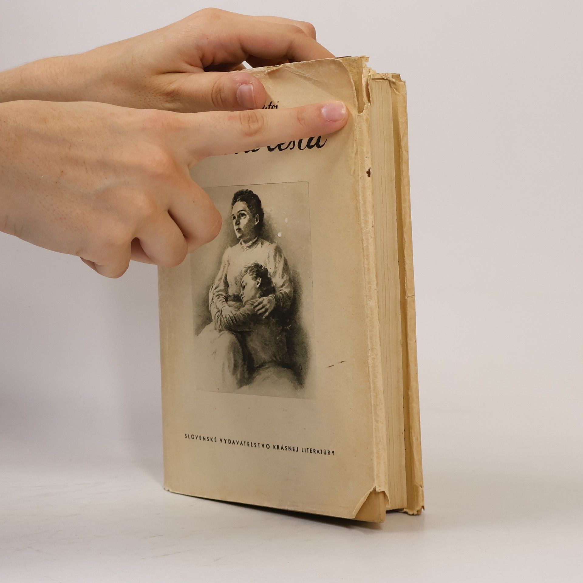 Alexei Nikolajewitsch Tolstoi Krížová cesta