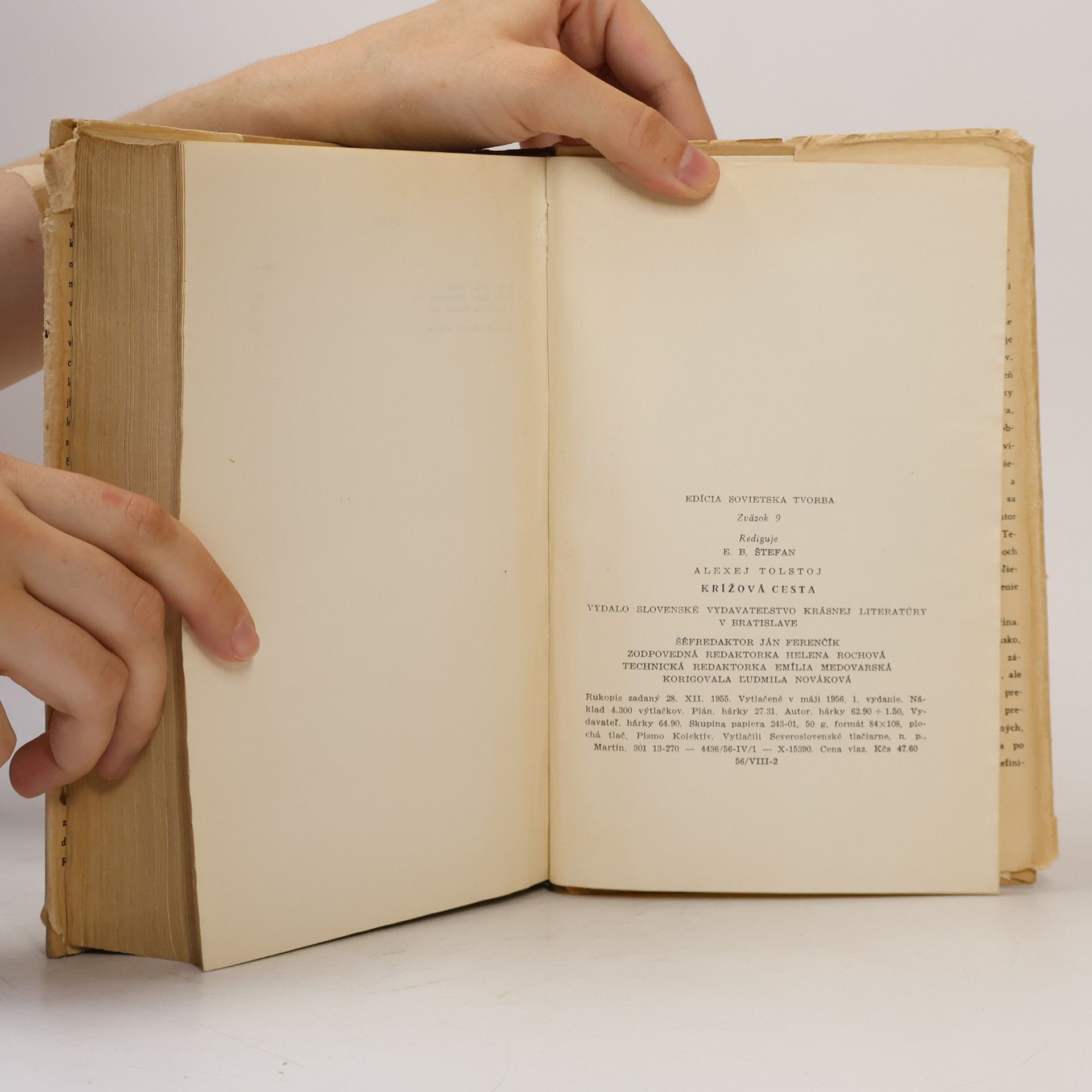 Alexei Nikolajewitsch Tolstoi Krížová cesta