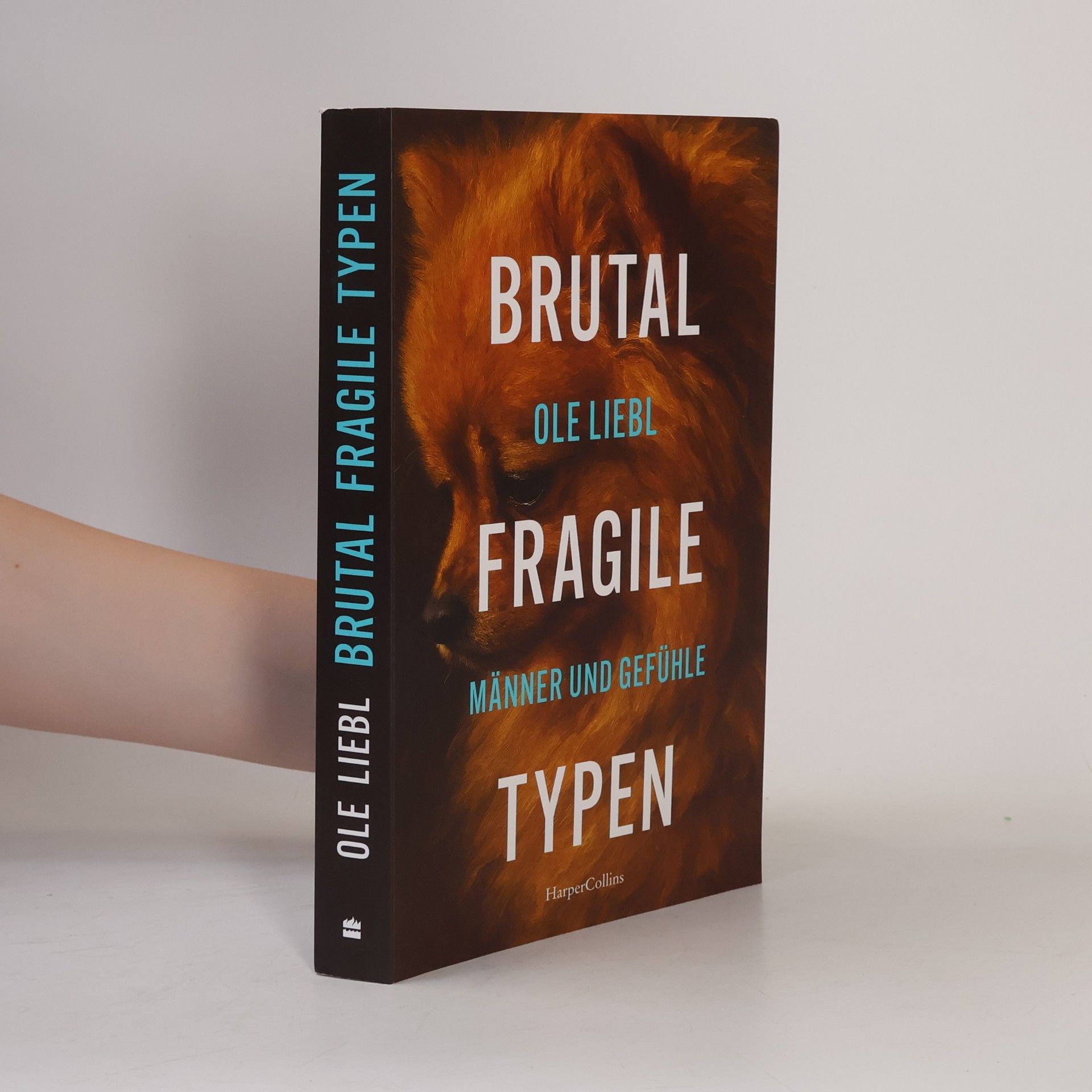 Ole Liebl Brutal fragile Typen. Männer und Gefühle