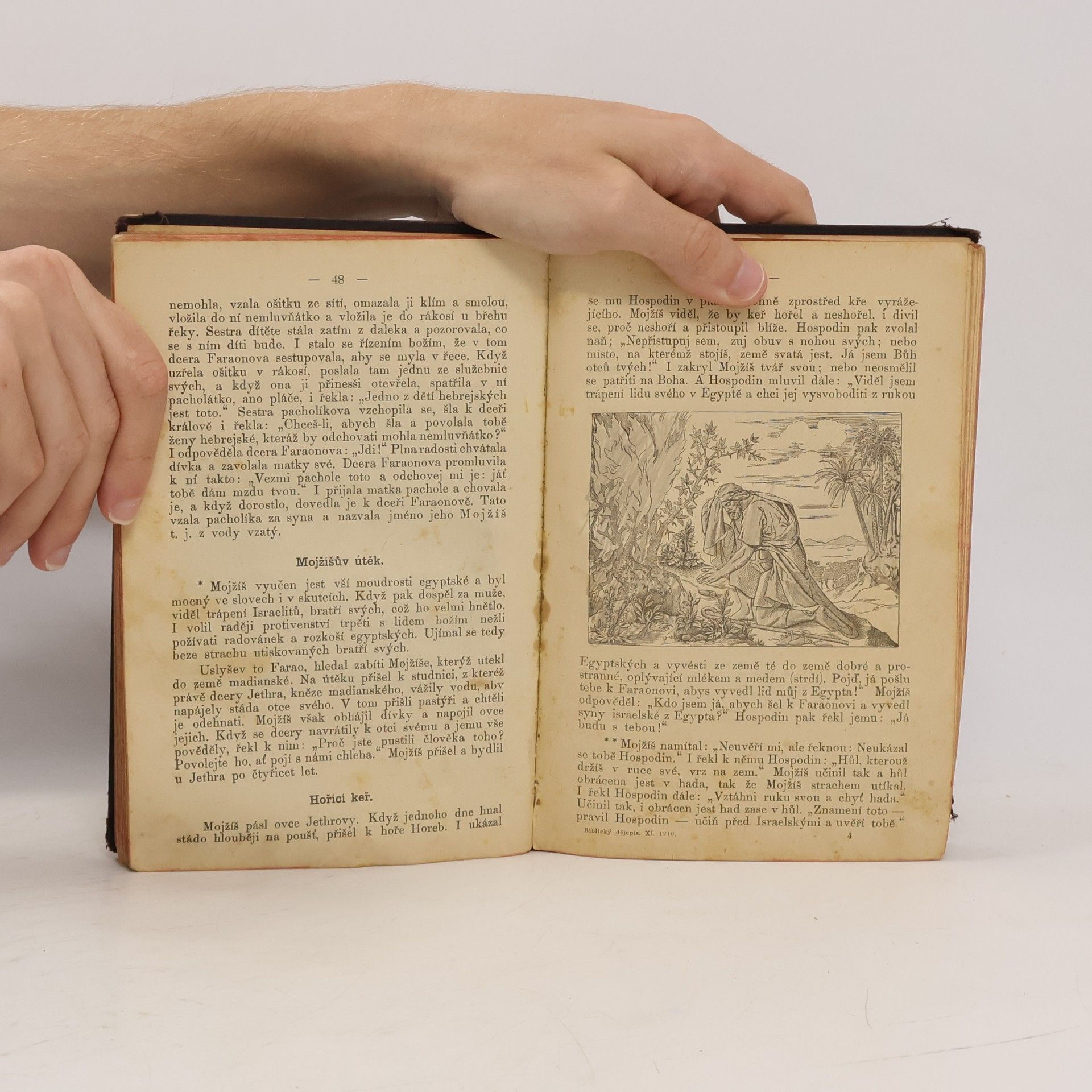 Srdínko František Schusterův biblický dějepis