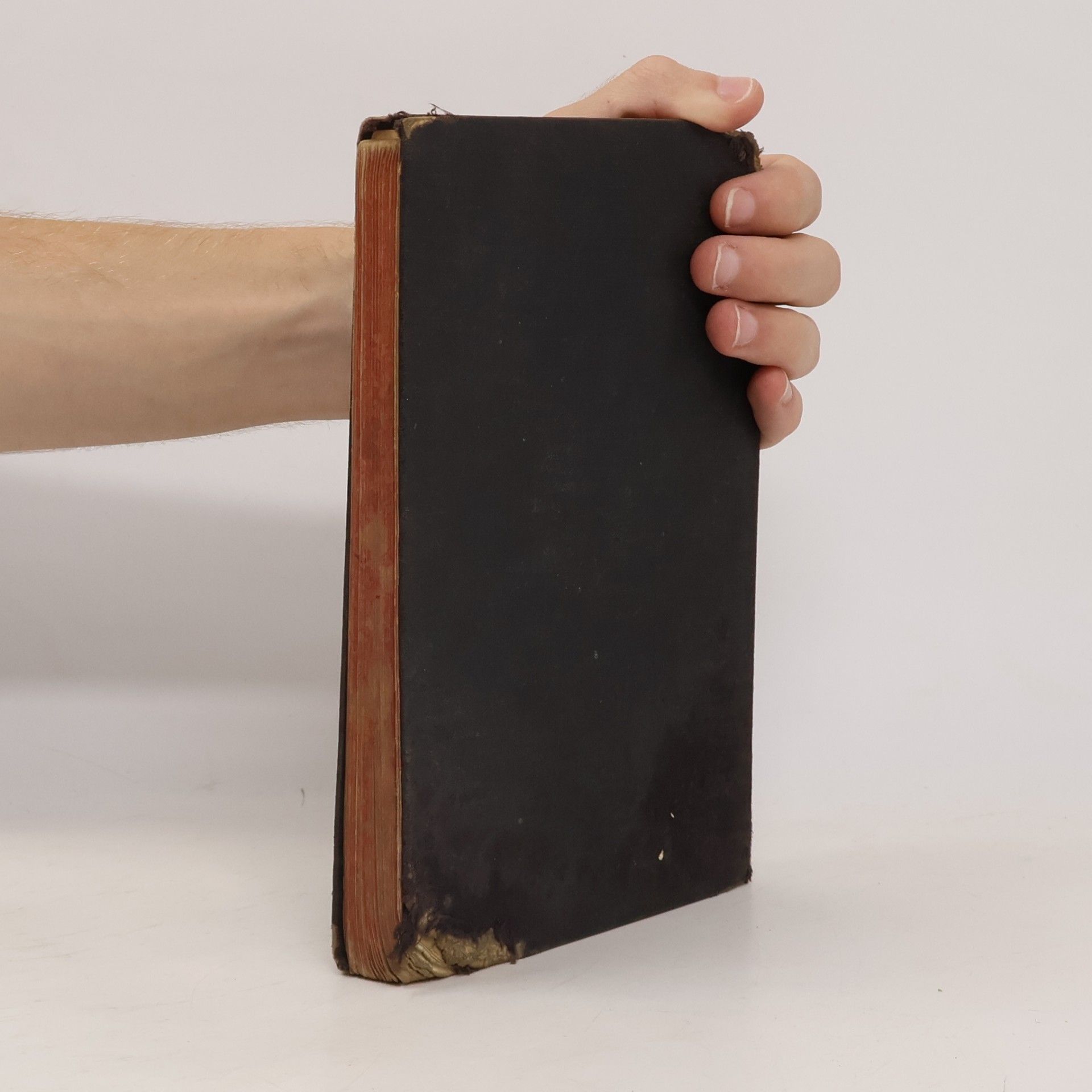 Srdínko František Schusterův biblický dějepis