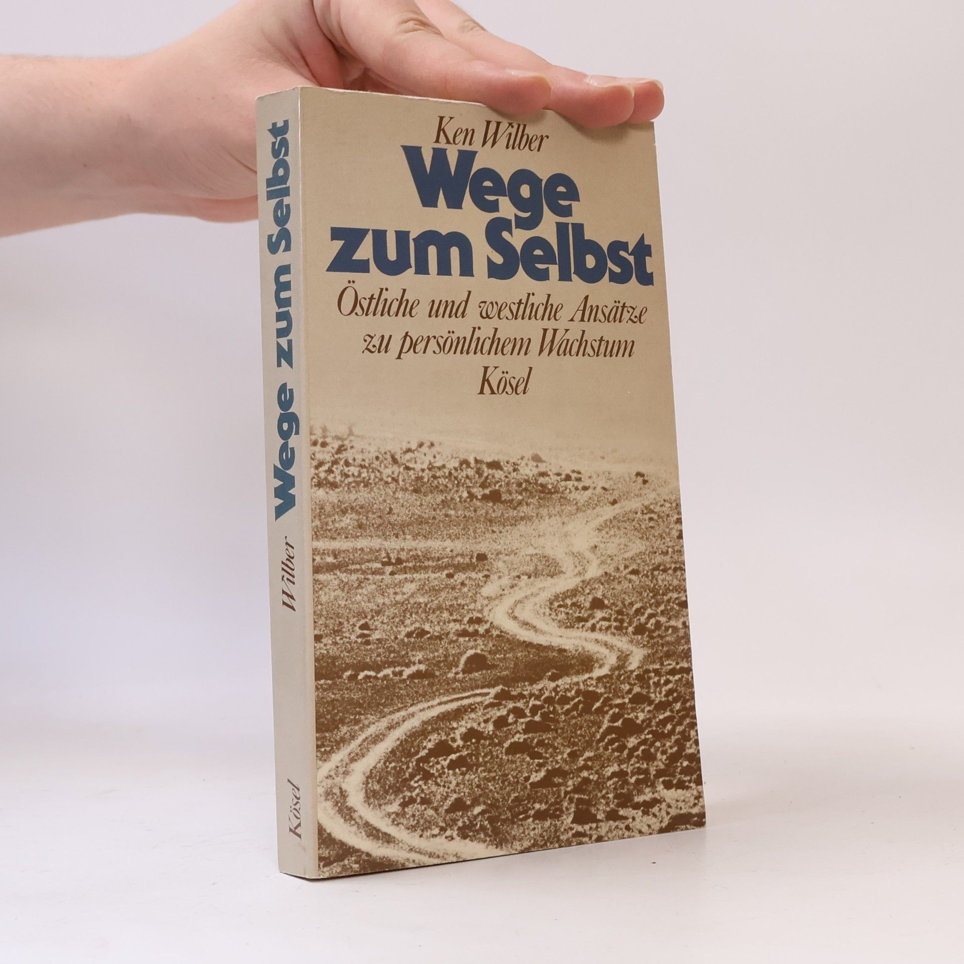Ken Wilber Wege zum Selbst