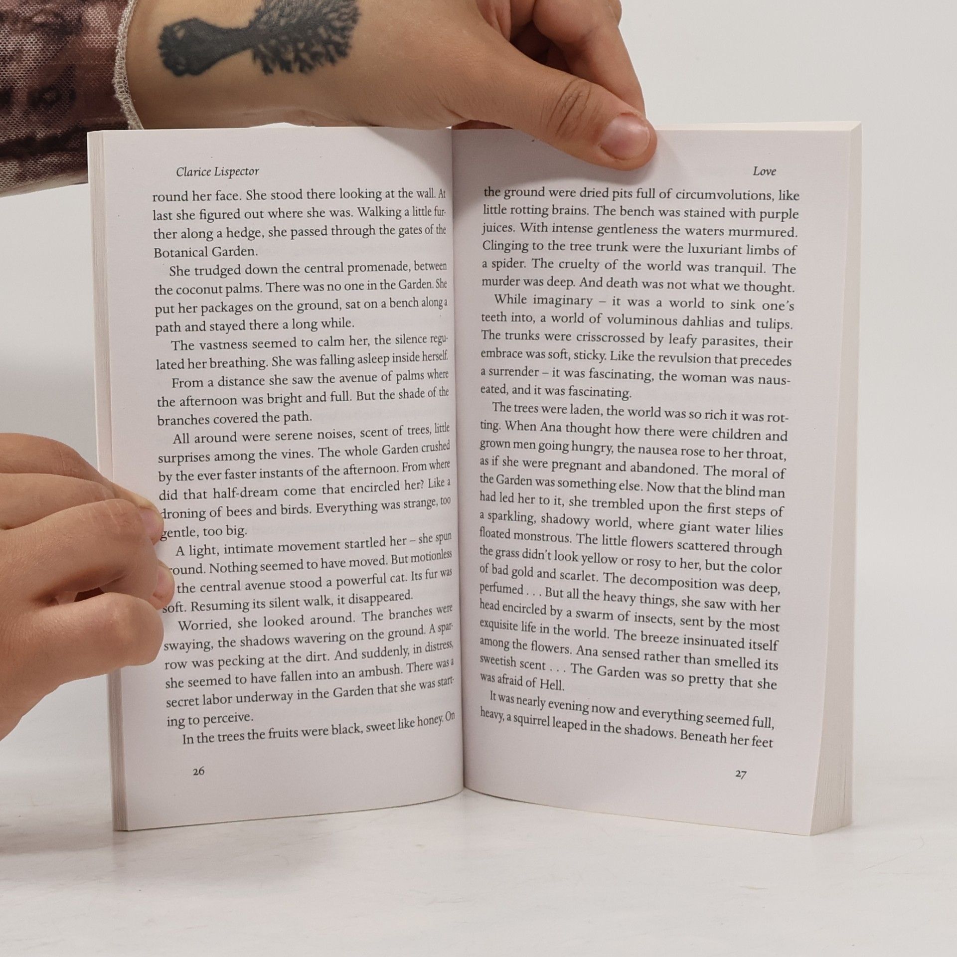 Clarice Lispector Penguin Archive: The Burned Sinner and the Harmonious Angels