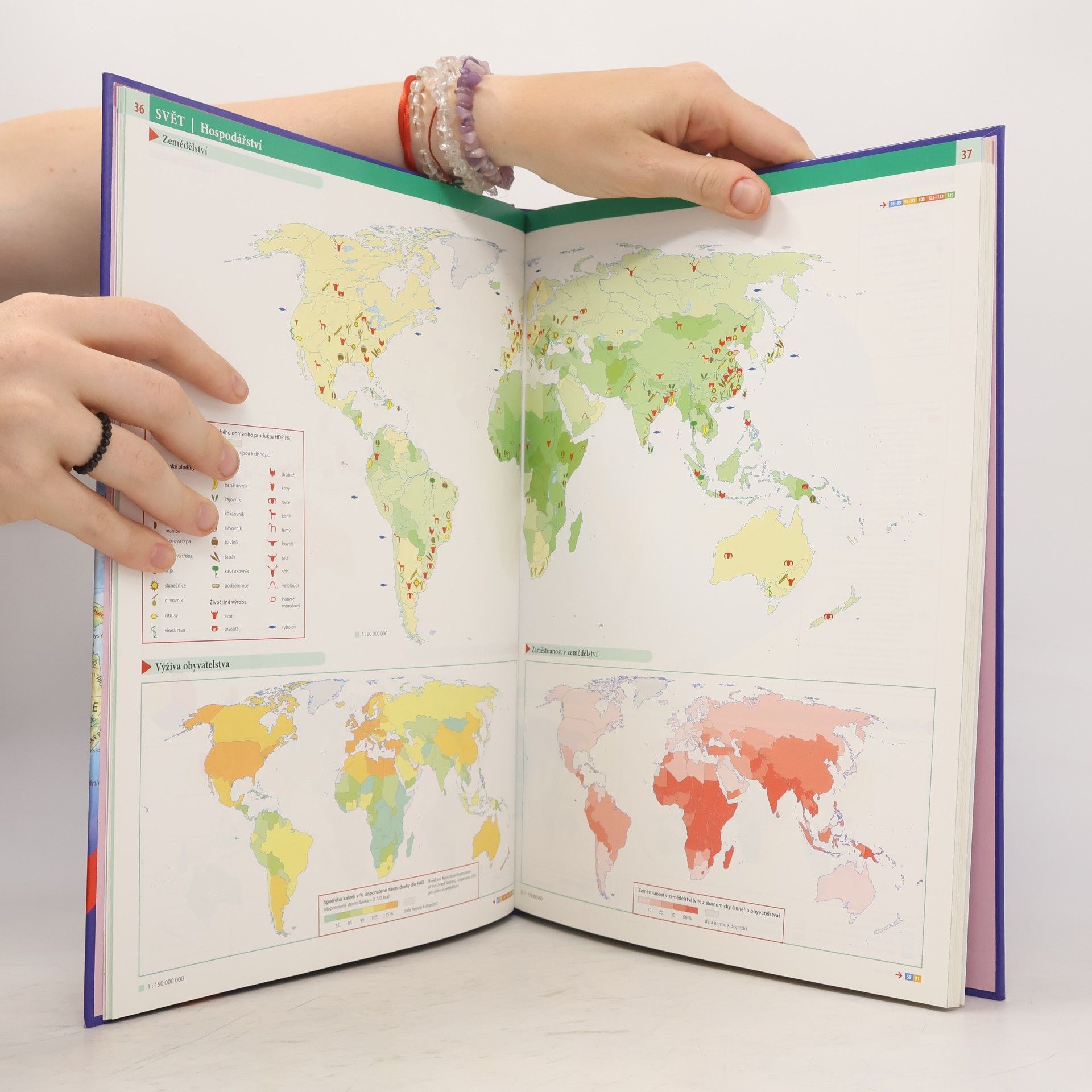 Collectif d'auteurs Školní atlas světa
