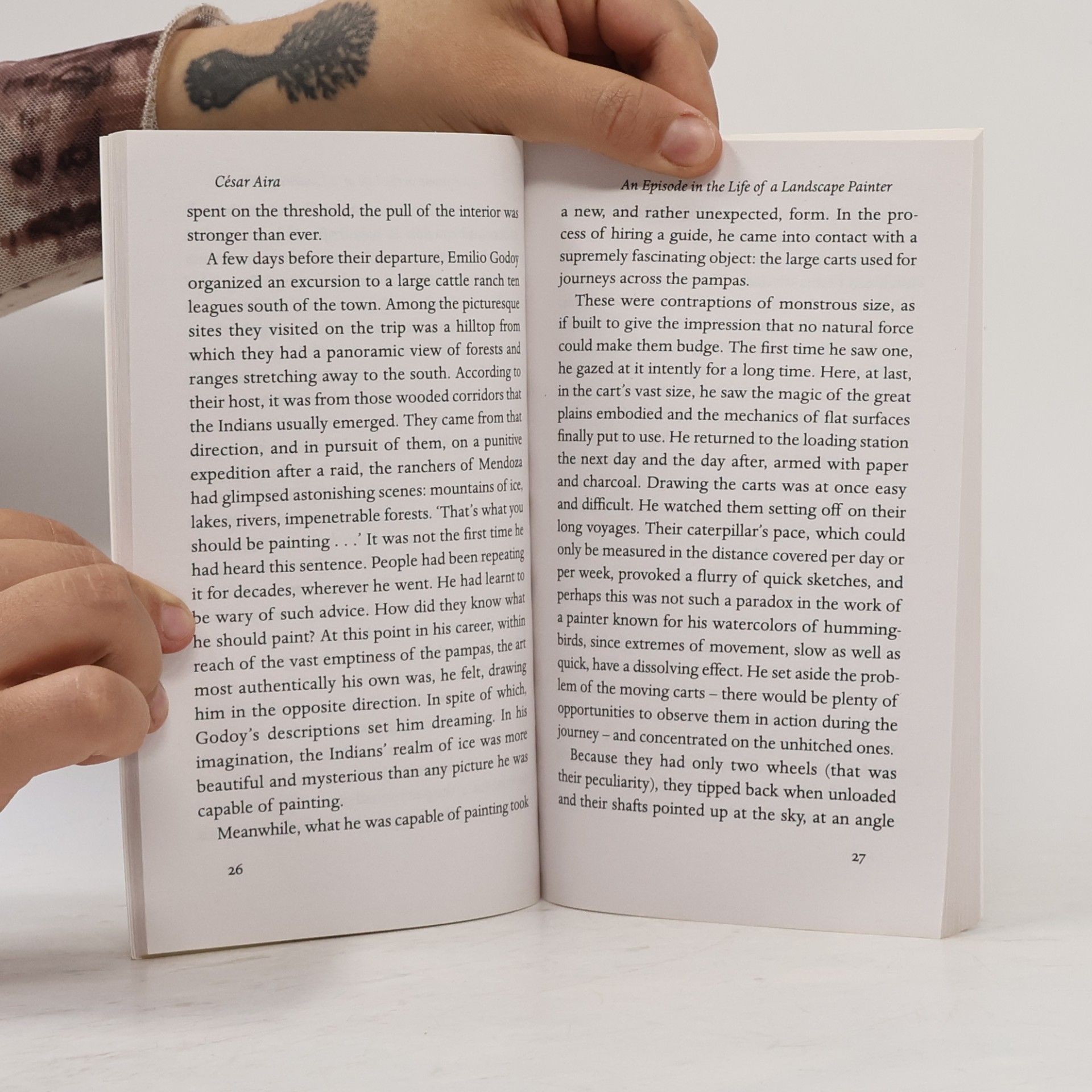 César Aira Penguin Archive: An Episode in the Life of a Landscape Painter