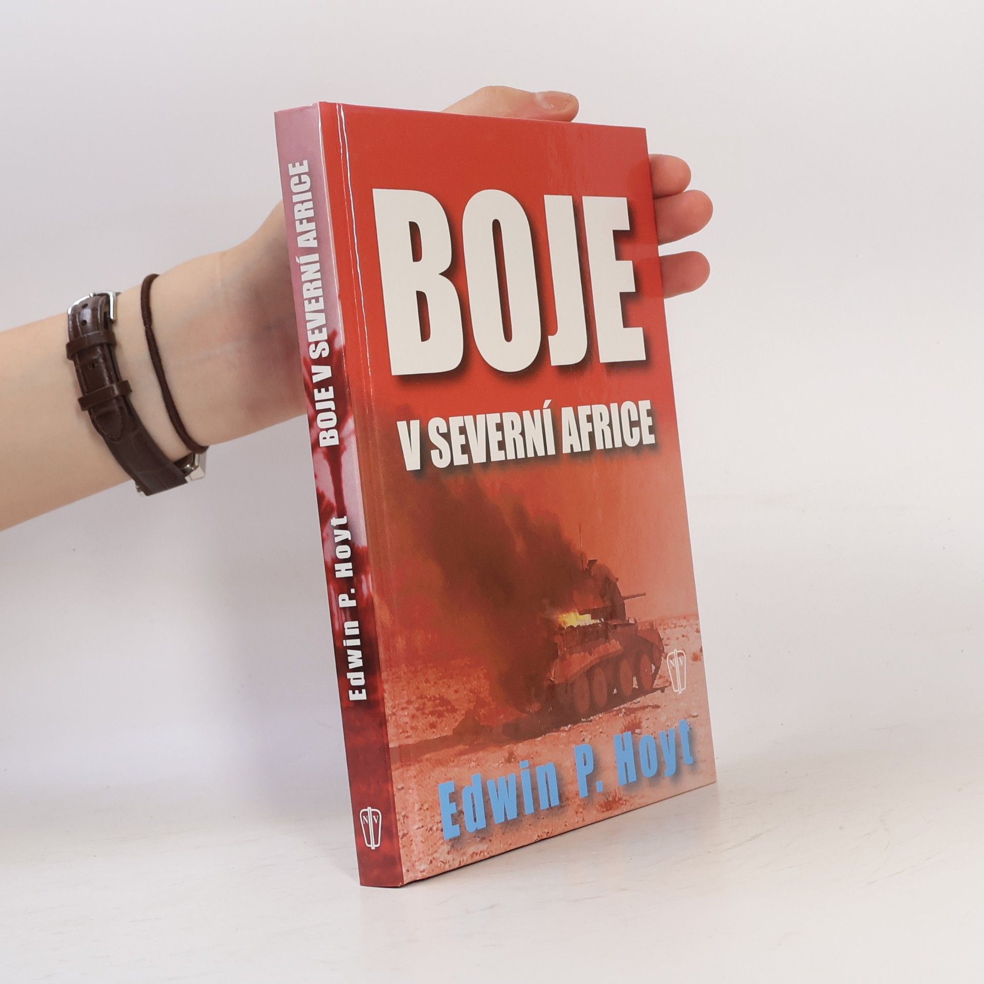 Edwin Palmer Hoyt Boje v severní Africe
