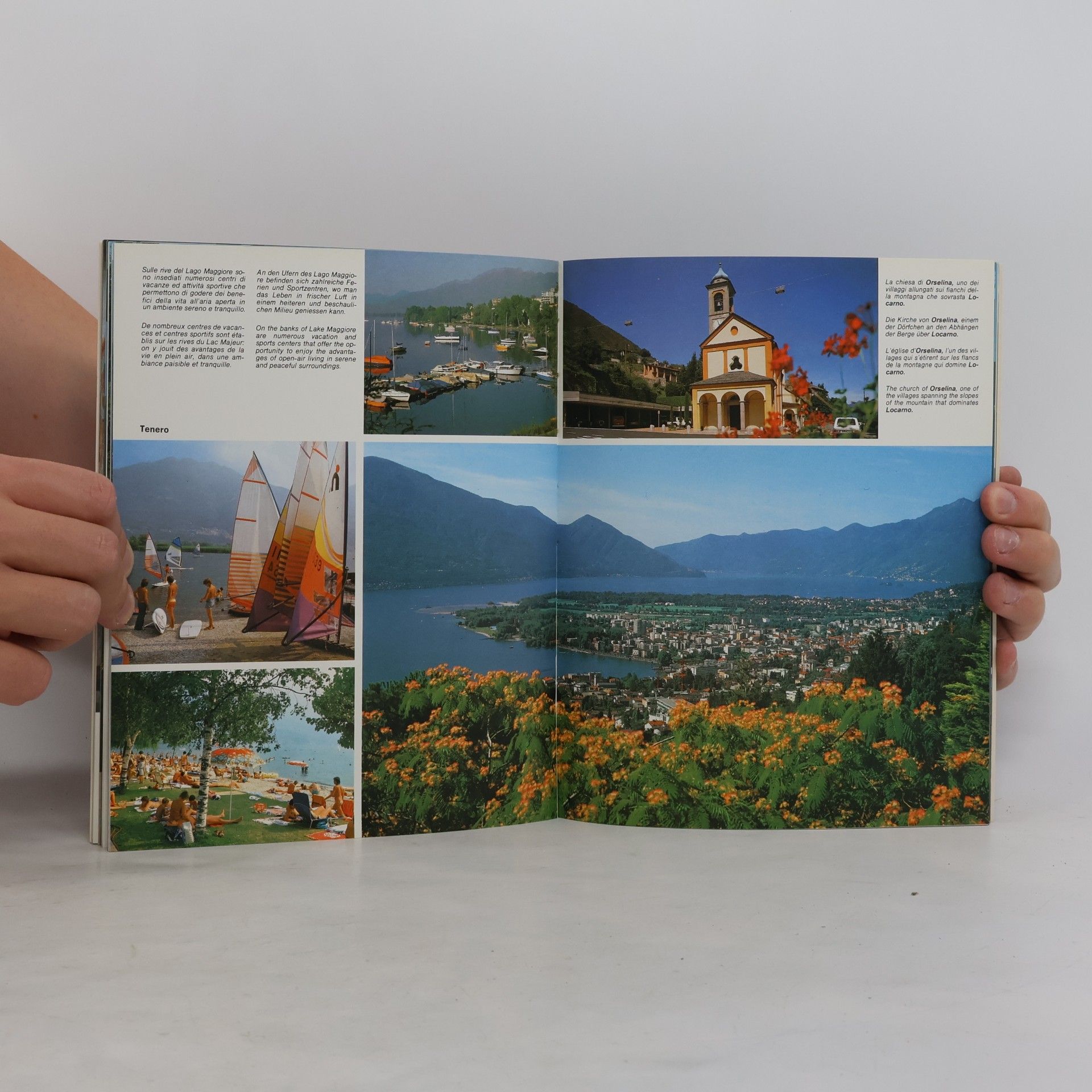 Dino Sassi Ticino souvenir