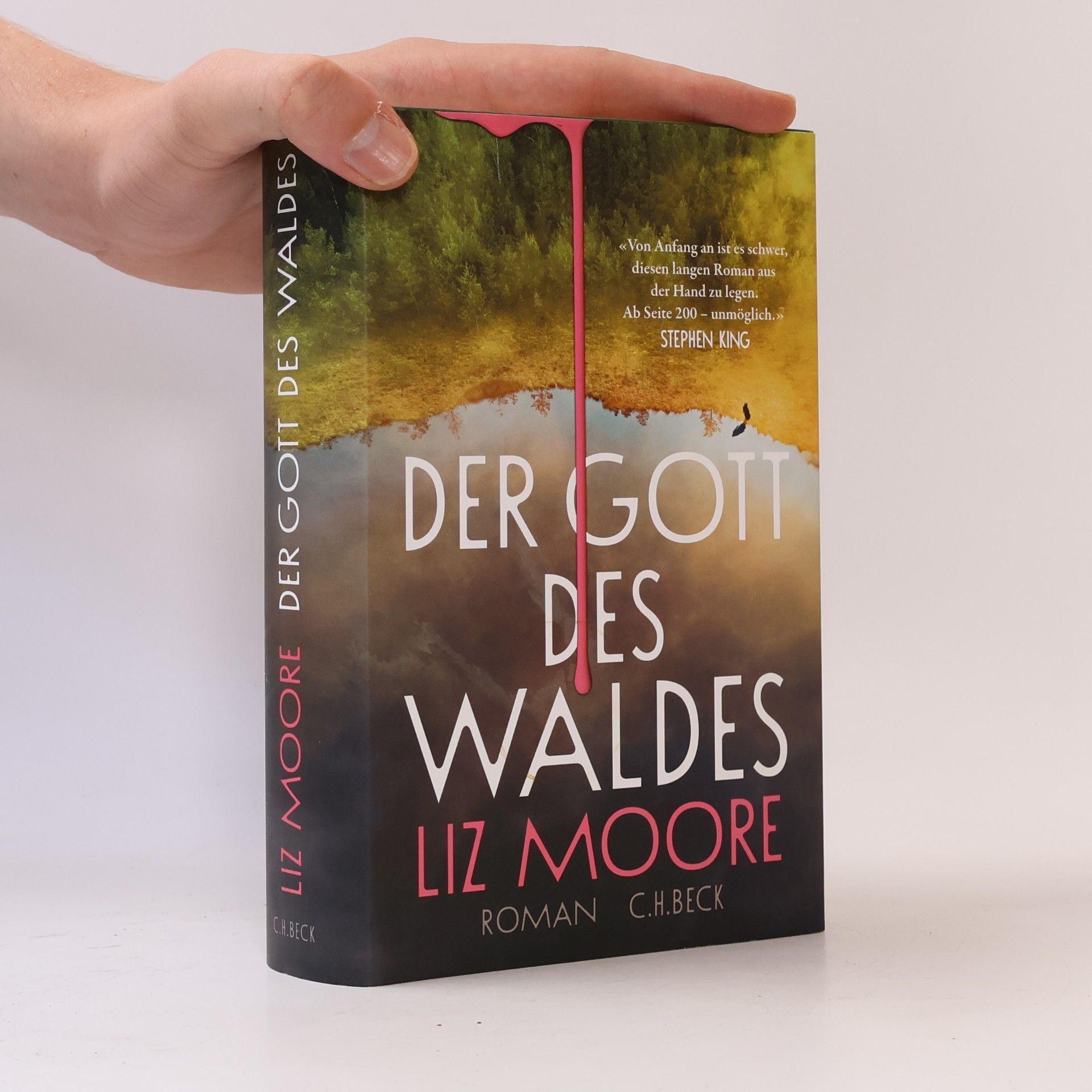 Liz Moore Der Gott des Waldes