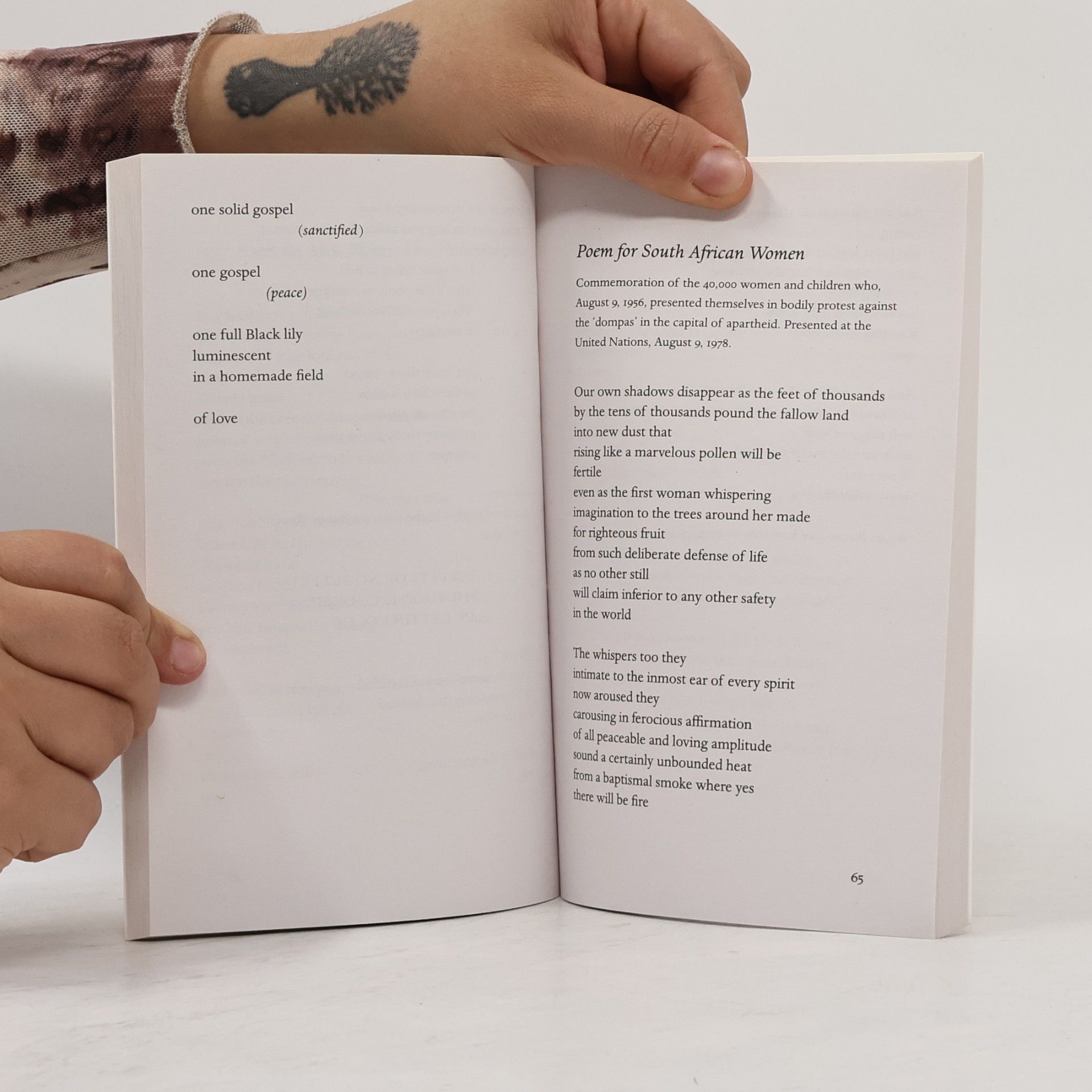 June Jordan Penguin Archive: Passion