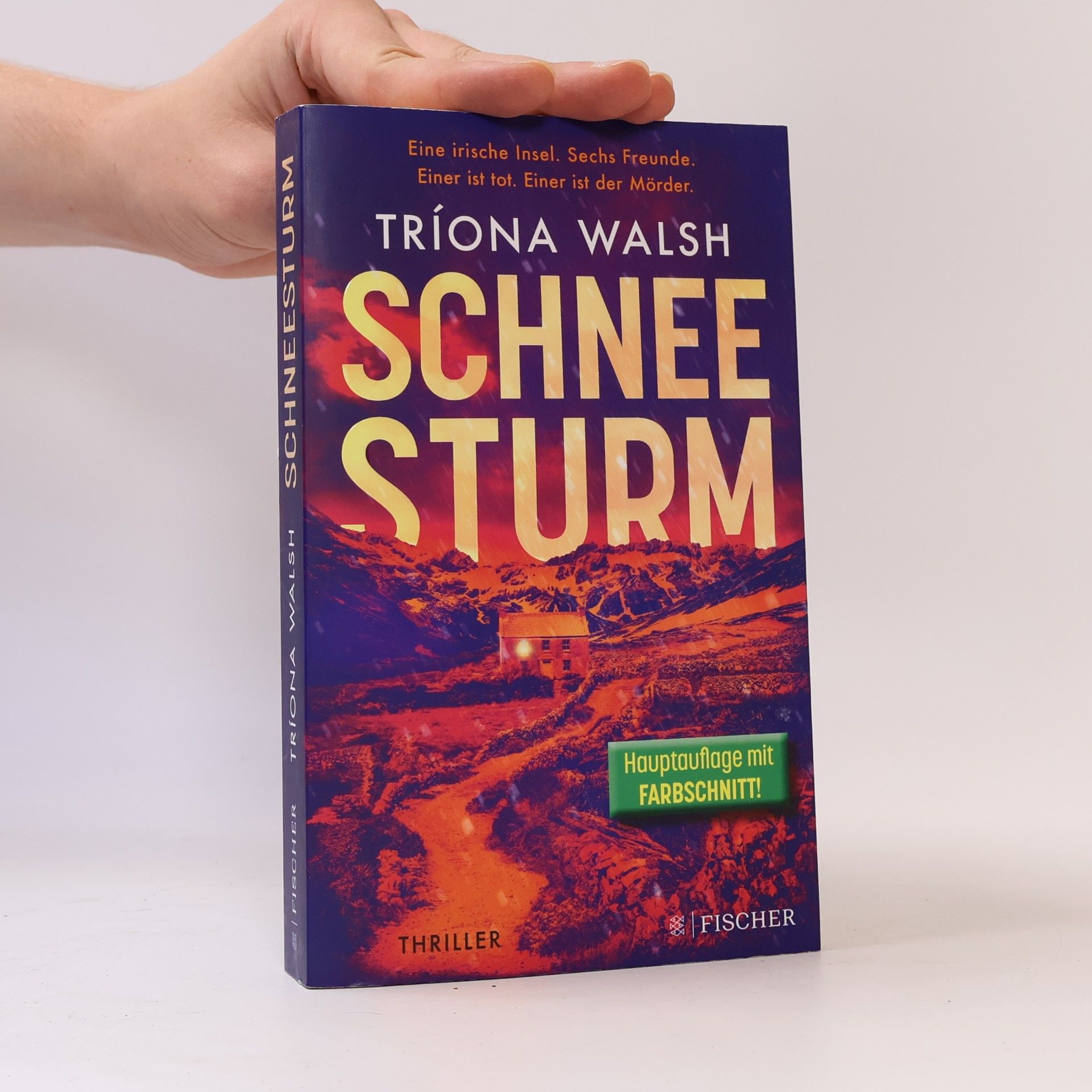 Tríona Walsh Schneesturm