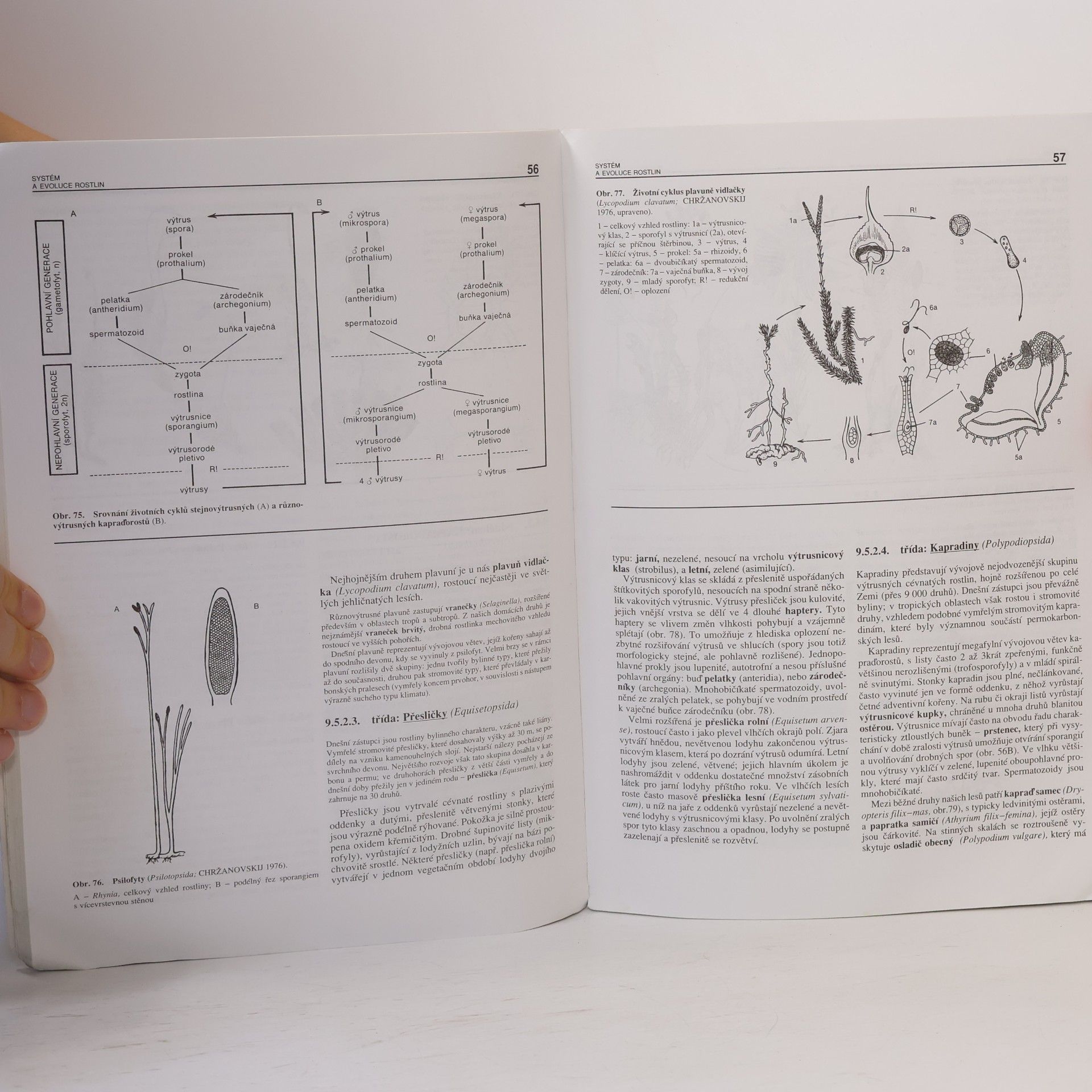 Lubomír Kincl Biologie rostlin
