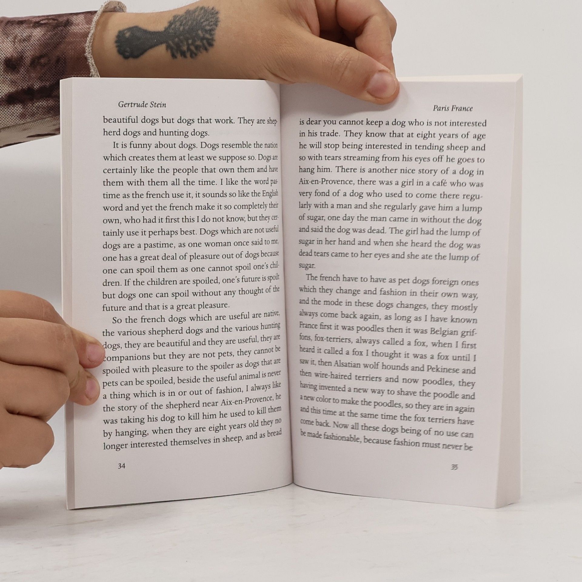 Gertrude Stein Penguin Archive: Paris France