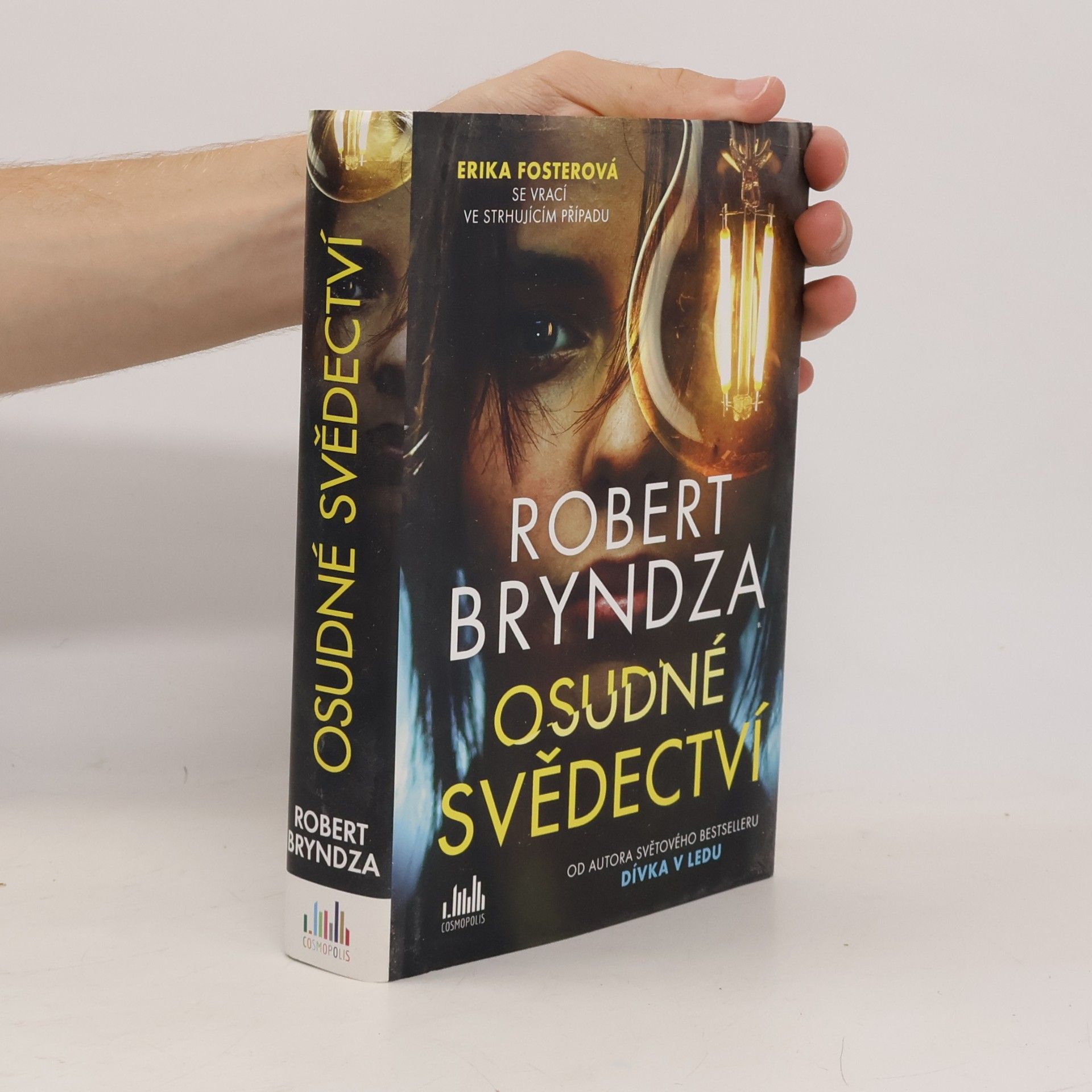 Robert Bryndza Osudné svědectví