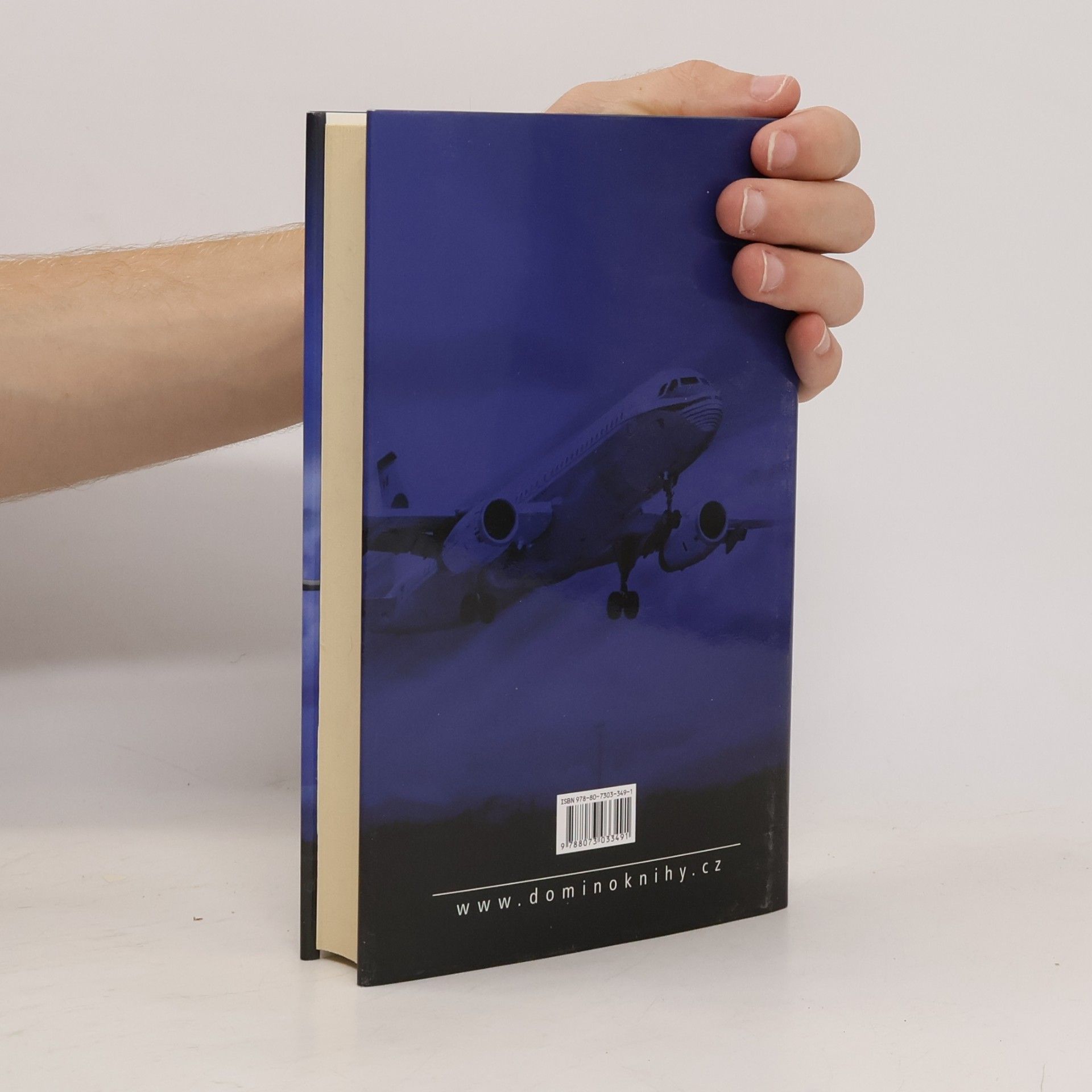 Robert Ludlum Matlockovo pověření