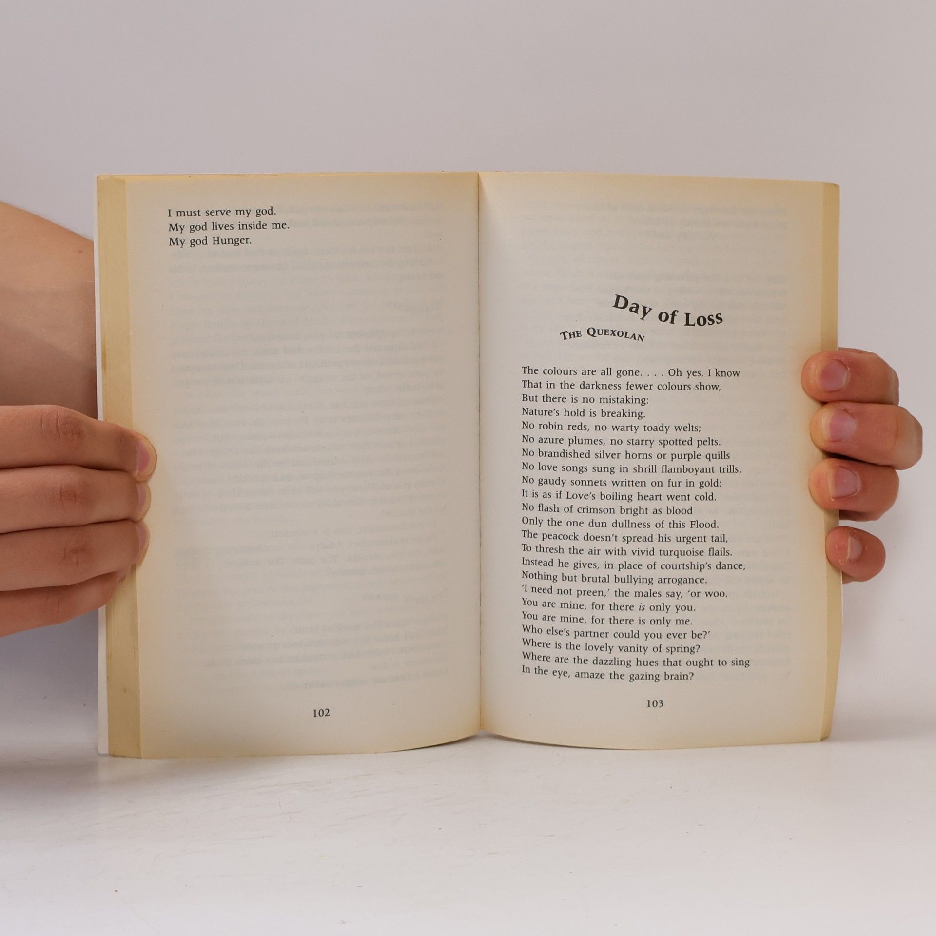 Geraldine McCaughrean Not the End of the World