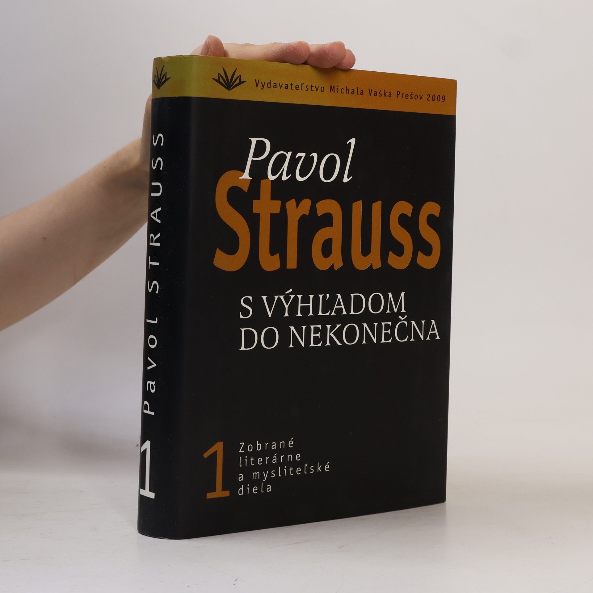 Pavol Strauss S výhľadom do nekonečna