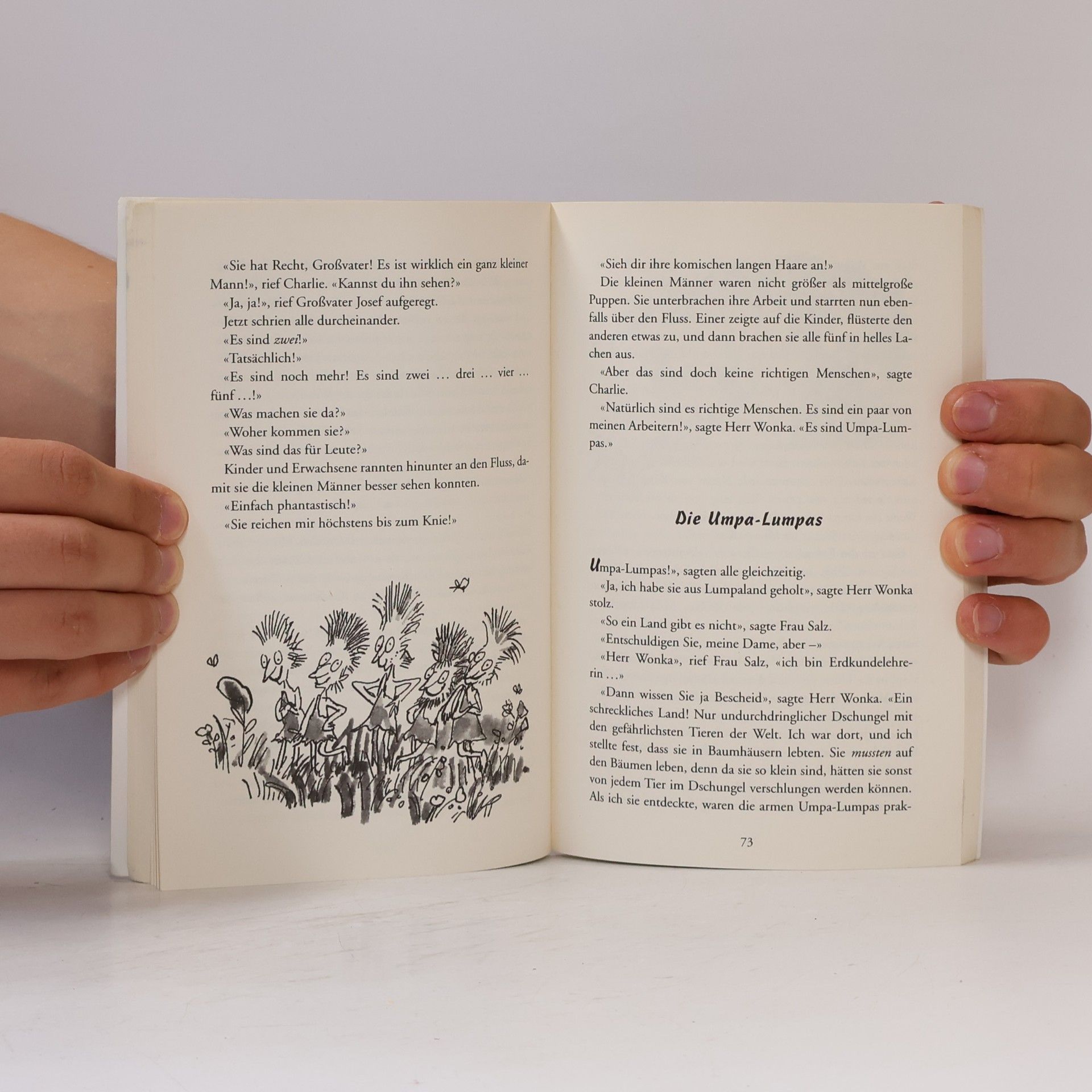 Roald Dahl Charlie Und Die Schokoladenfabrik