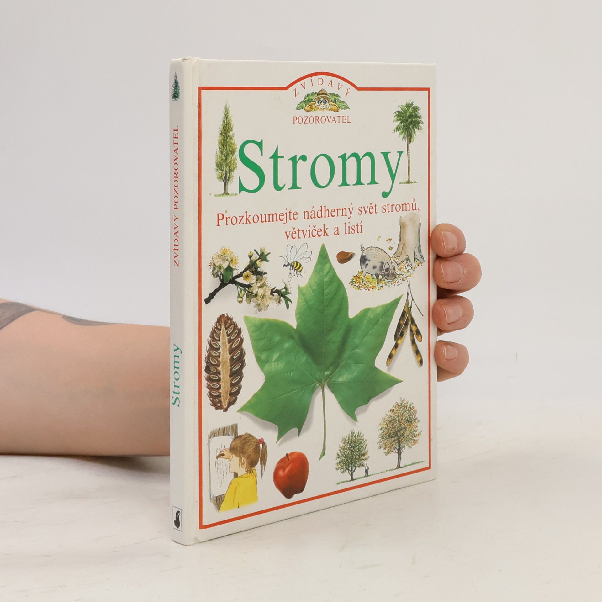 Linda Gamlin Stromy