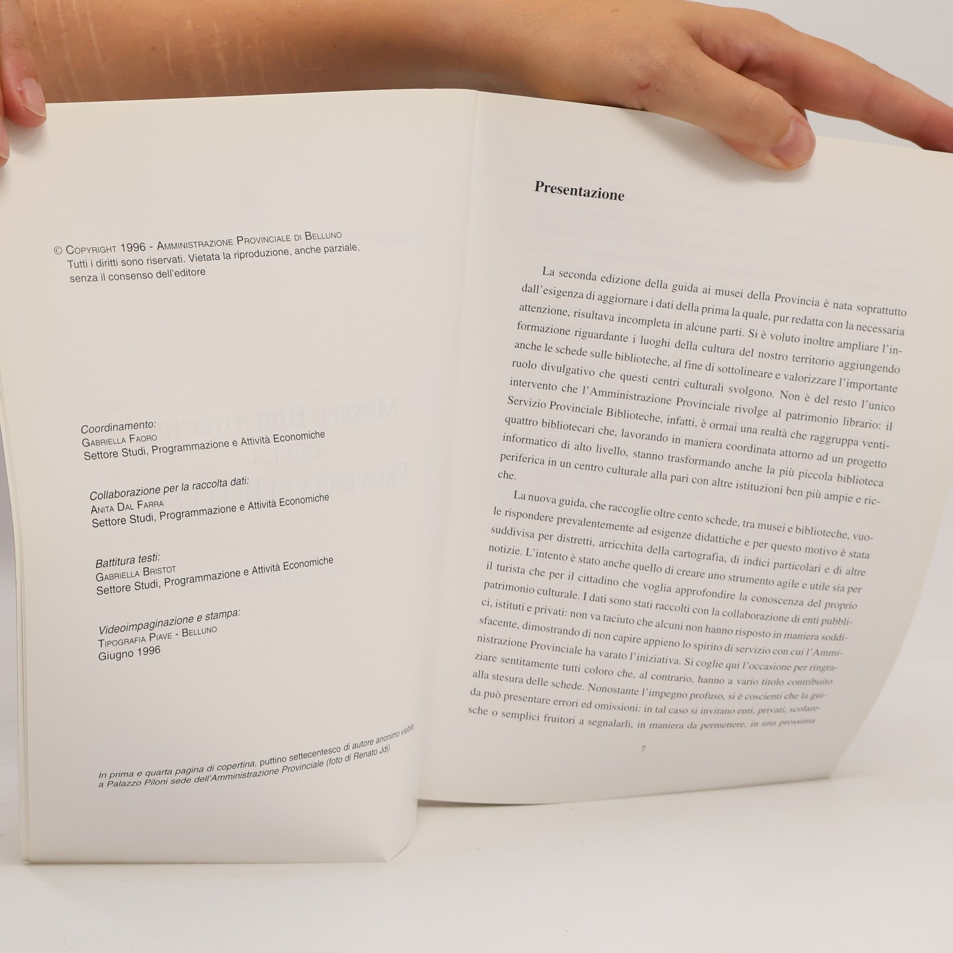 Various authors Musei e Biblioteche della Provincia di Belluno
