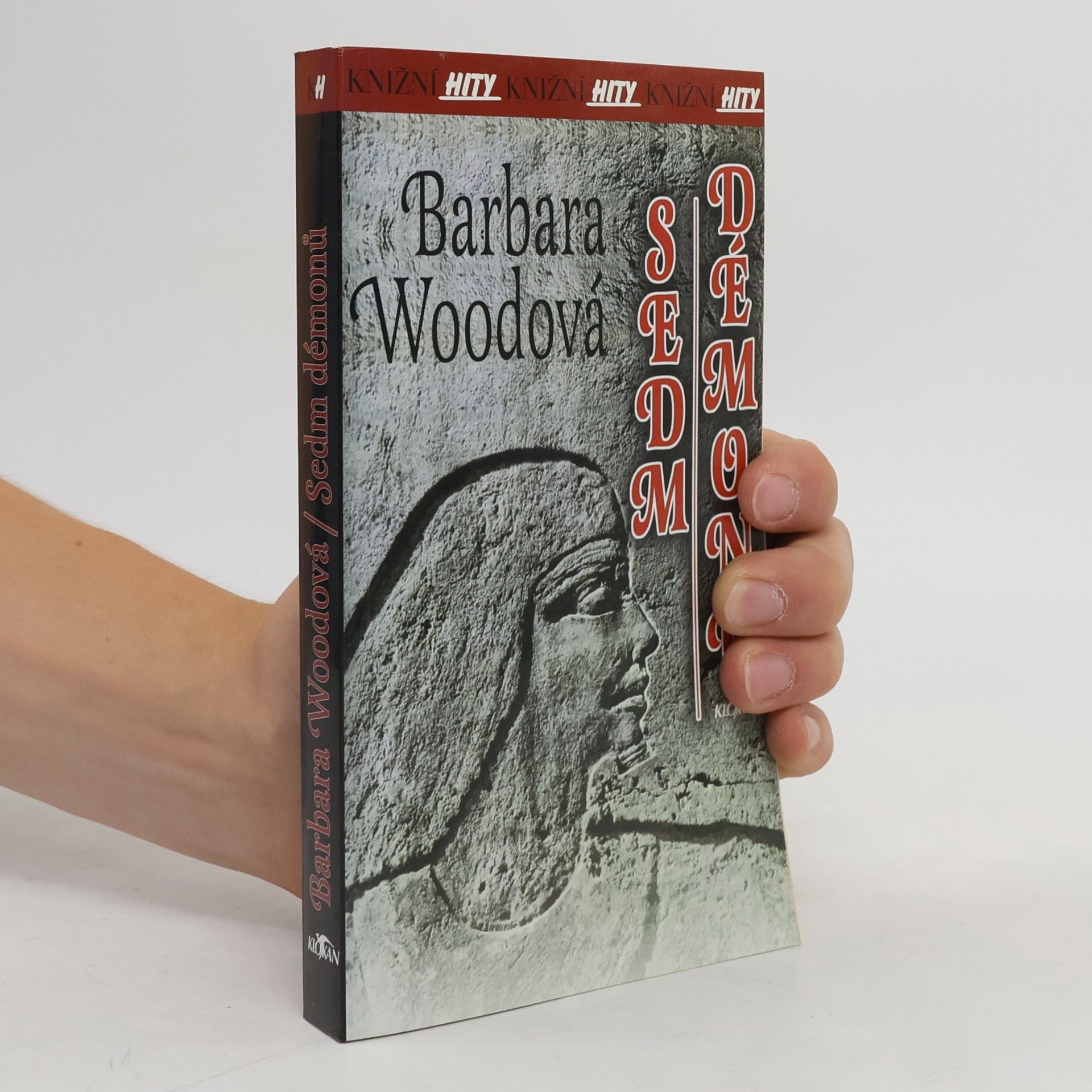 Barbara Wood Sedm démonů