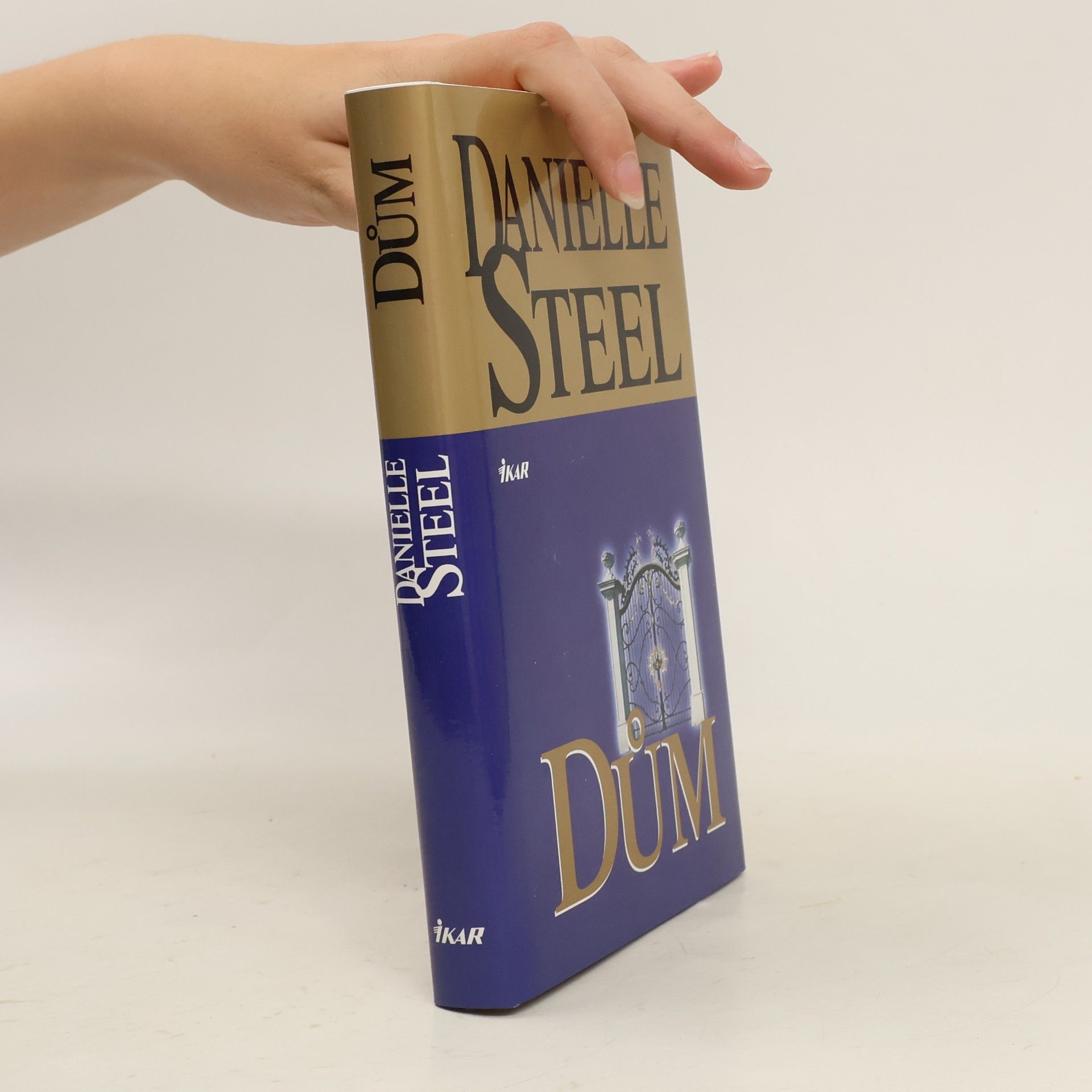Danielle Steel Dům