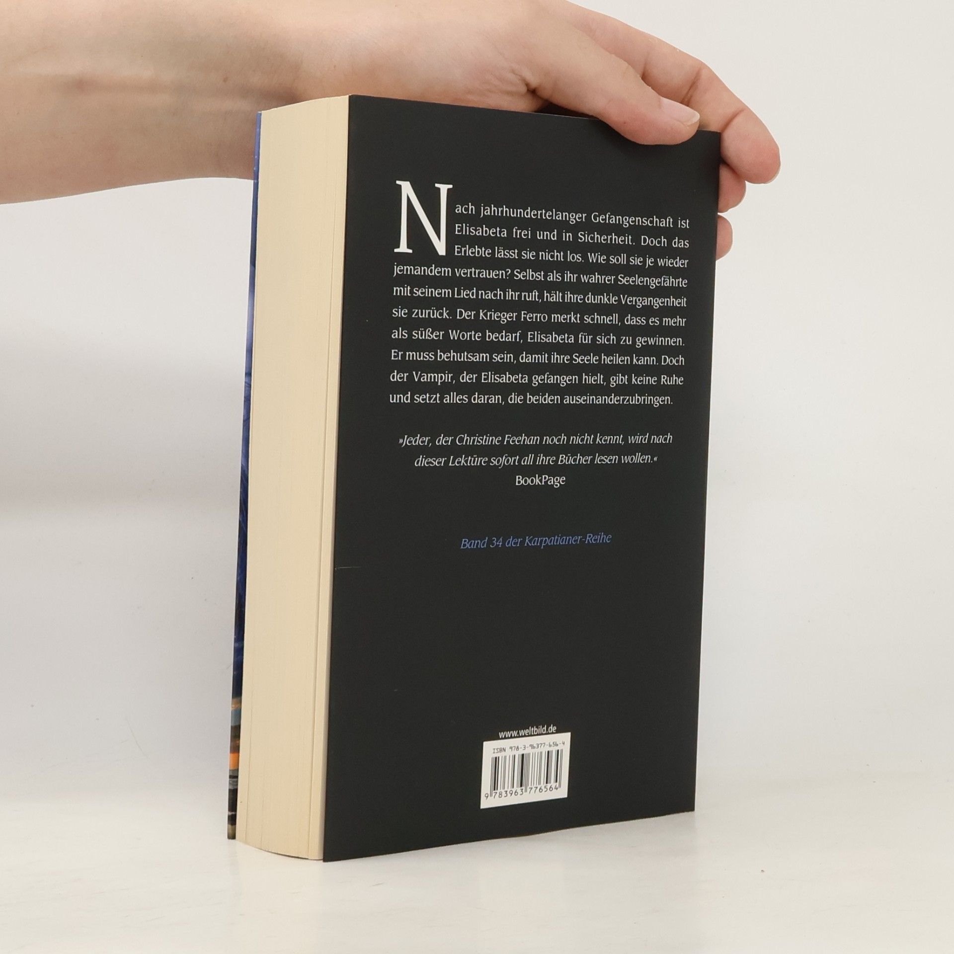 Christine Feehan Dunkles Lied der Seele