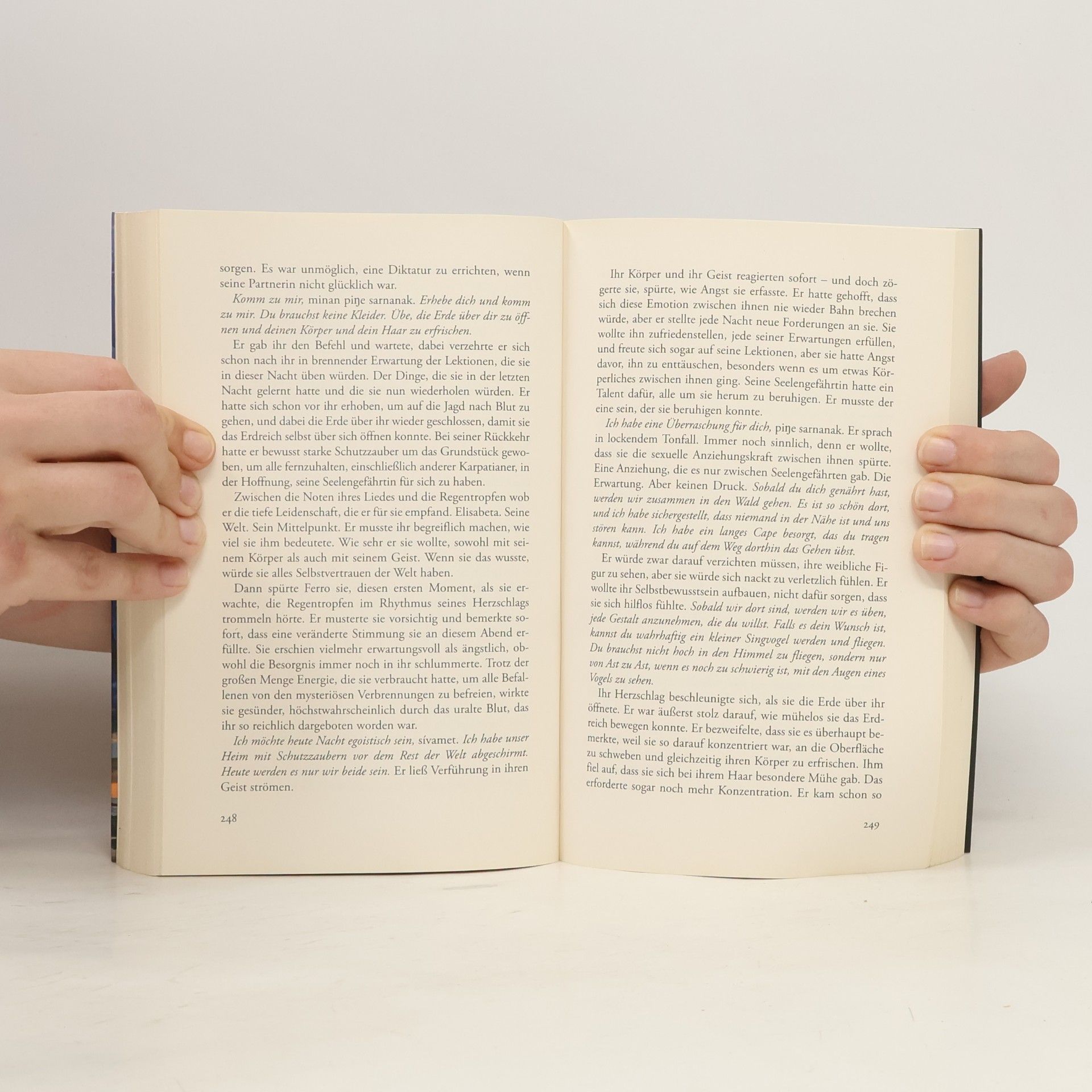 Christine Feehan Dunkles Lied der Seele