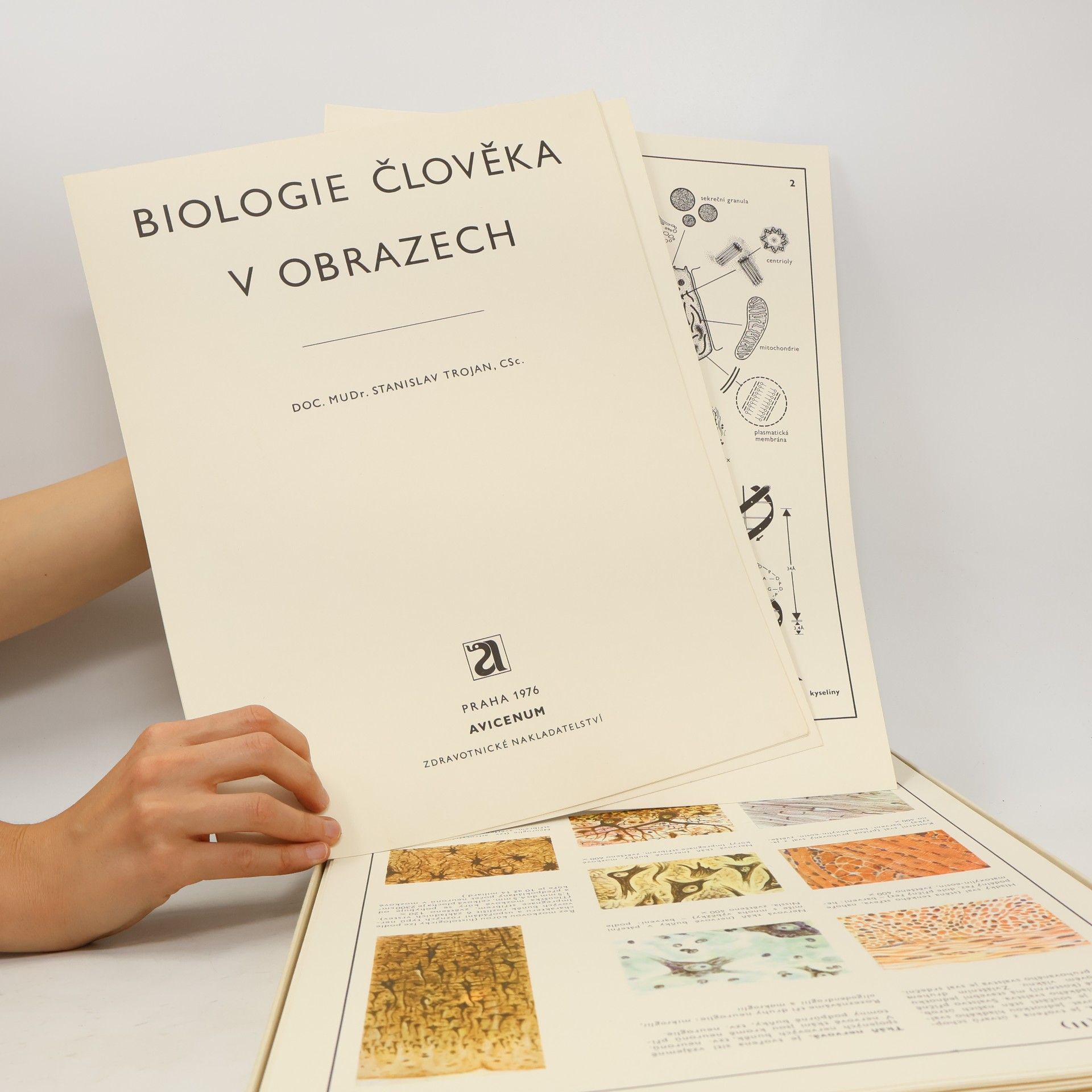 Stanislav Trojan Biologie člověka v obrazech